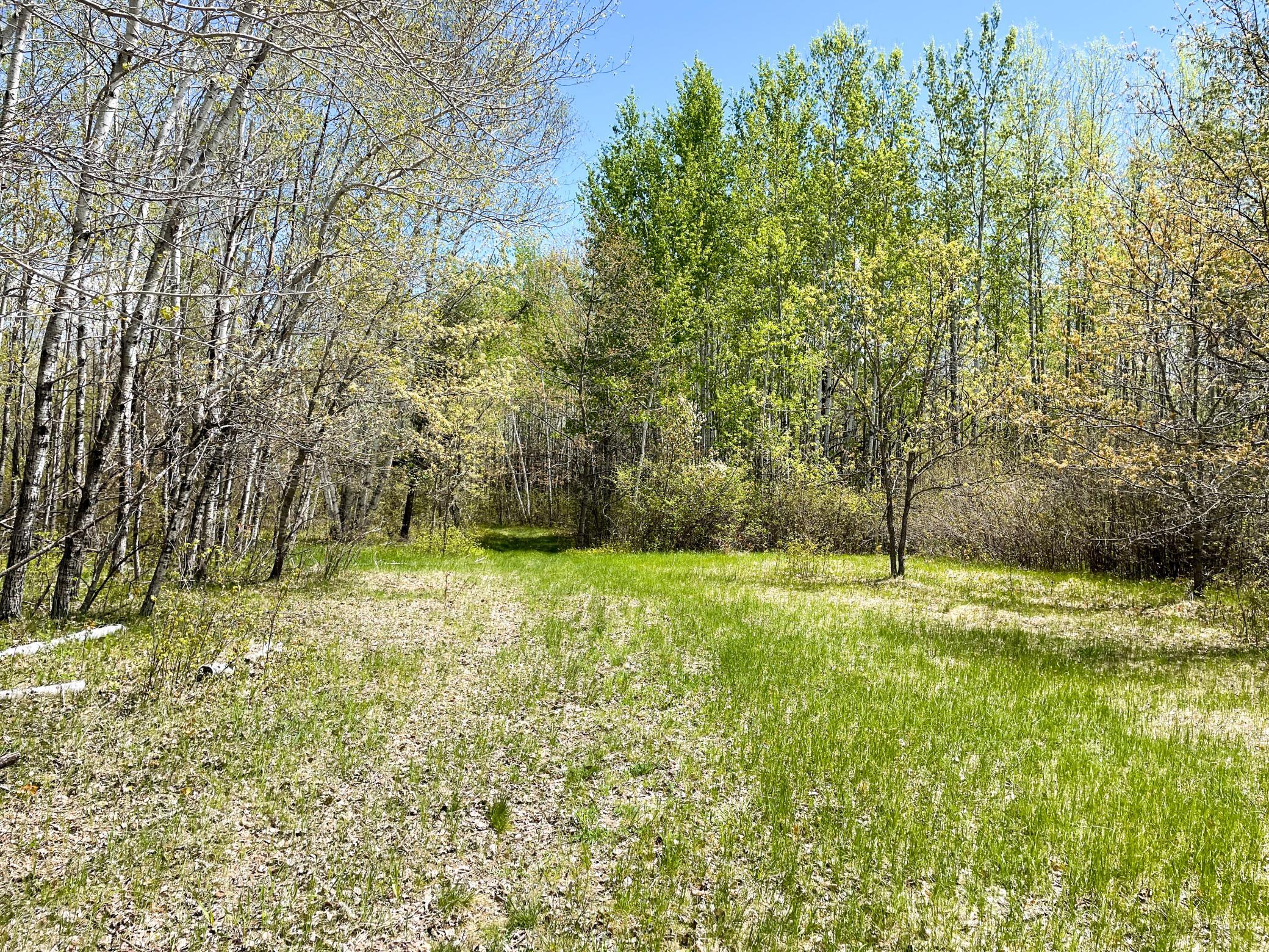 land for sale at TBD 15th Street NW in Bemidji, MN (photo 44 of 70)
