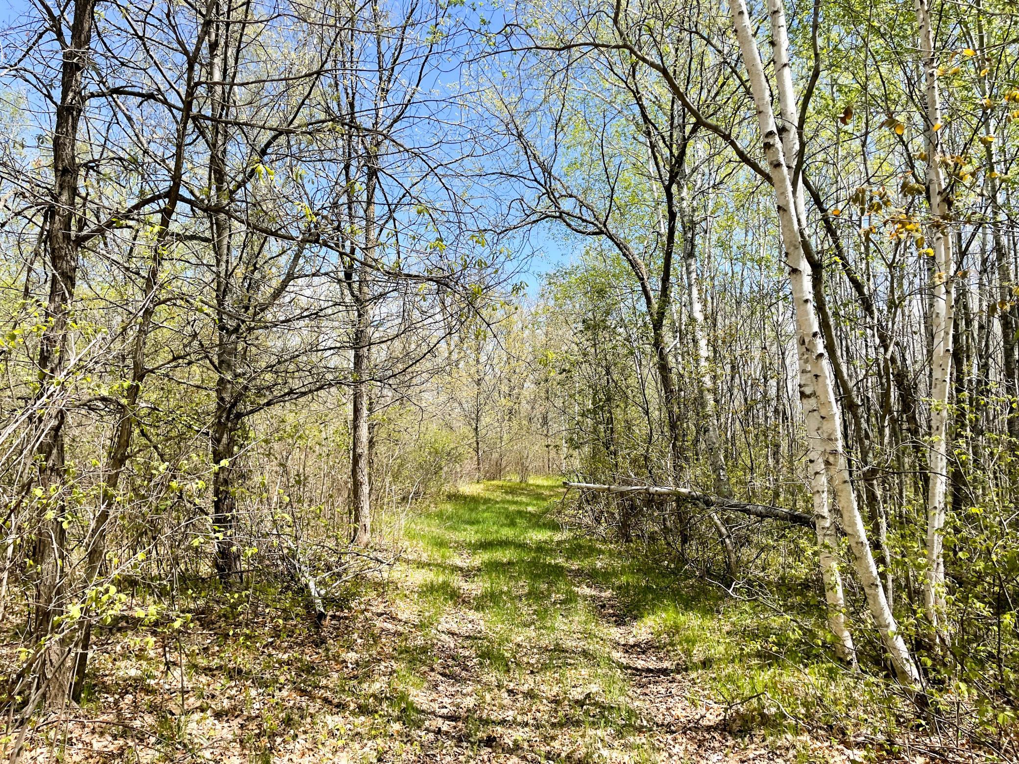 land for sale at TBD 15th Street NW in Bemidji, MN (photo 45 of 70)