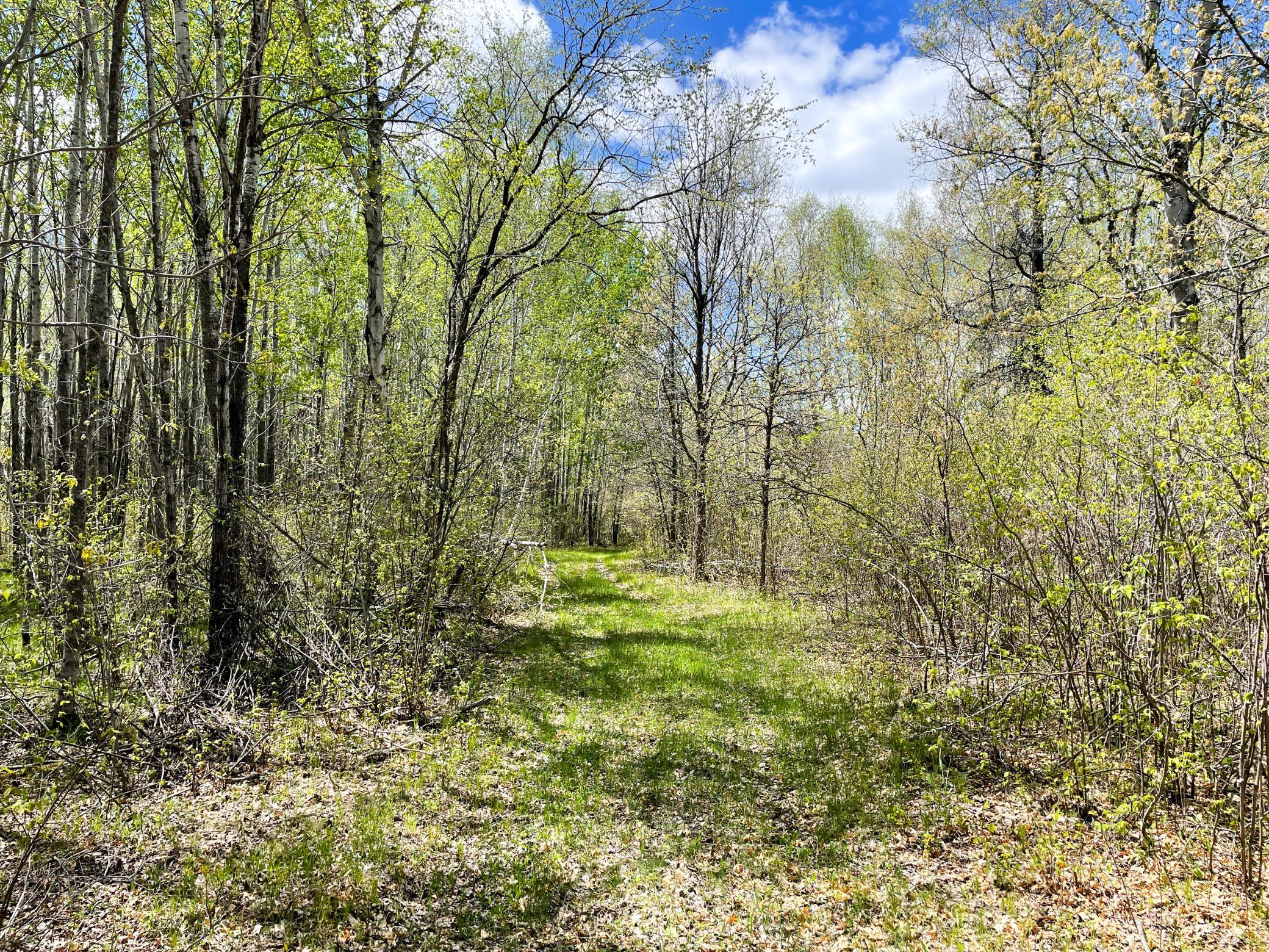 land for sale at TBD 15th Street NW in Bemidji, MN (photo 46 of 70)