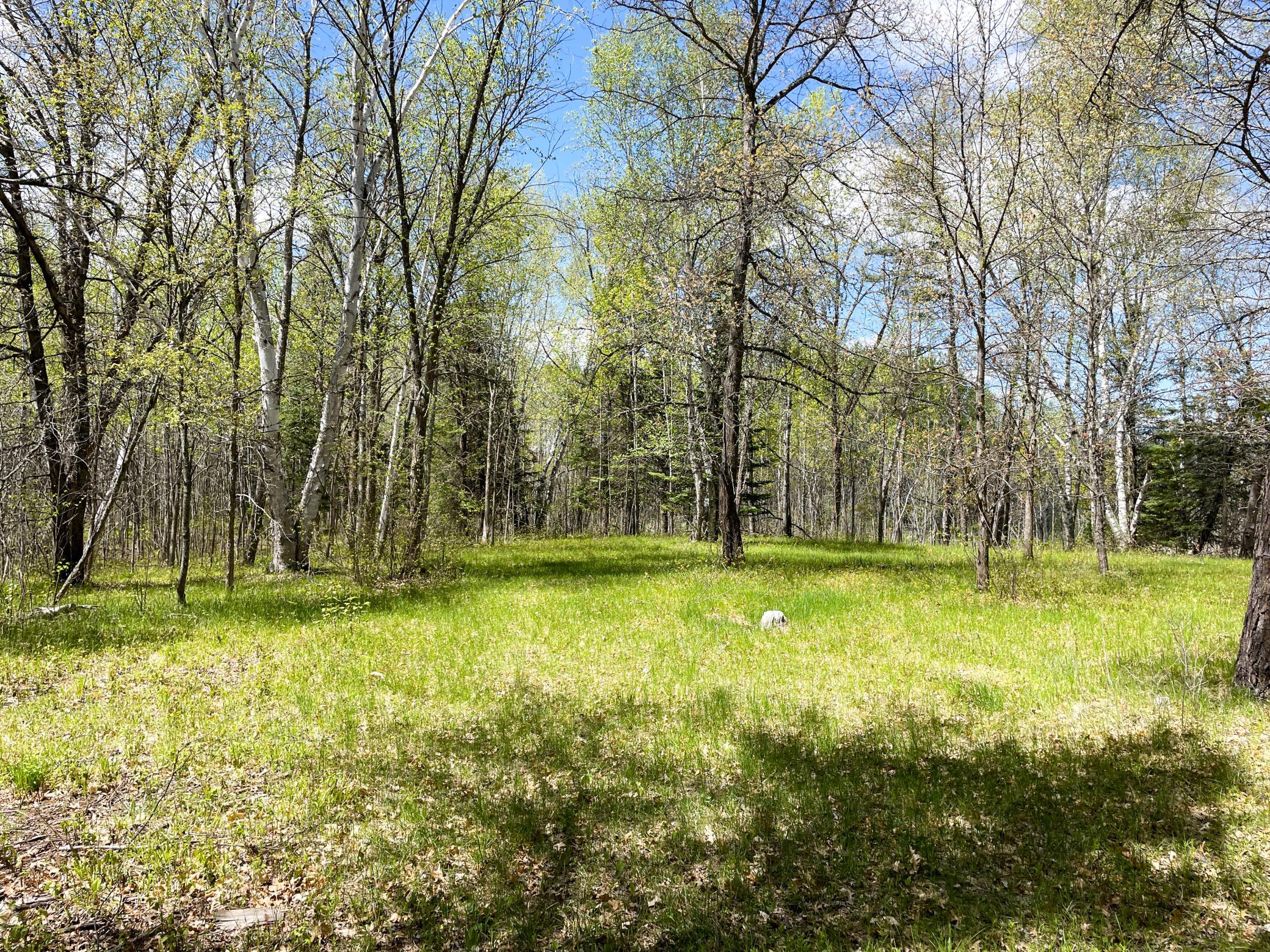 land for sale at TBD 15th Street NW in Bemidji, MN (photo 47 of 70)