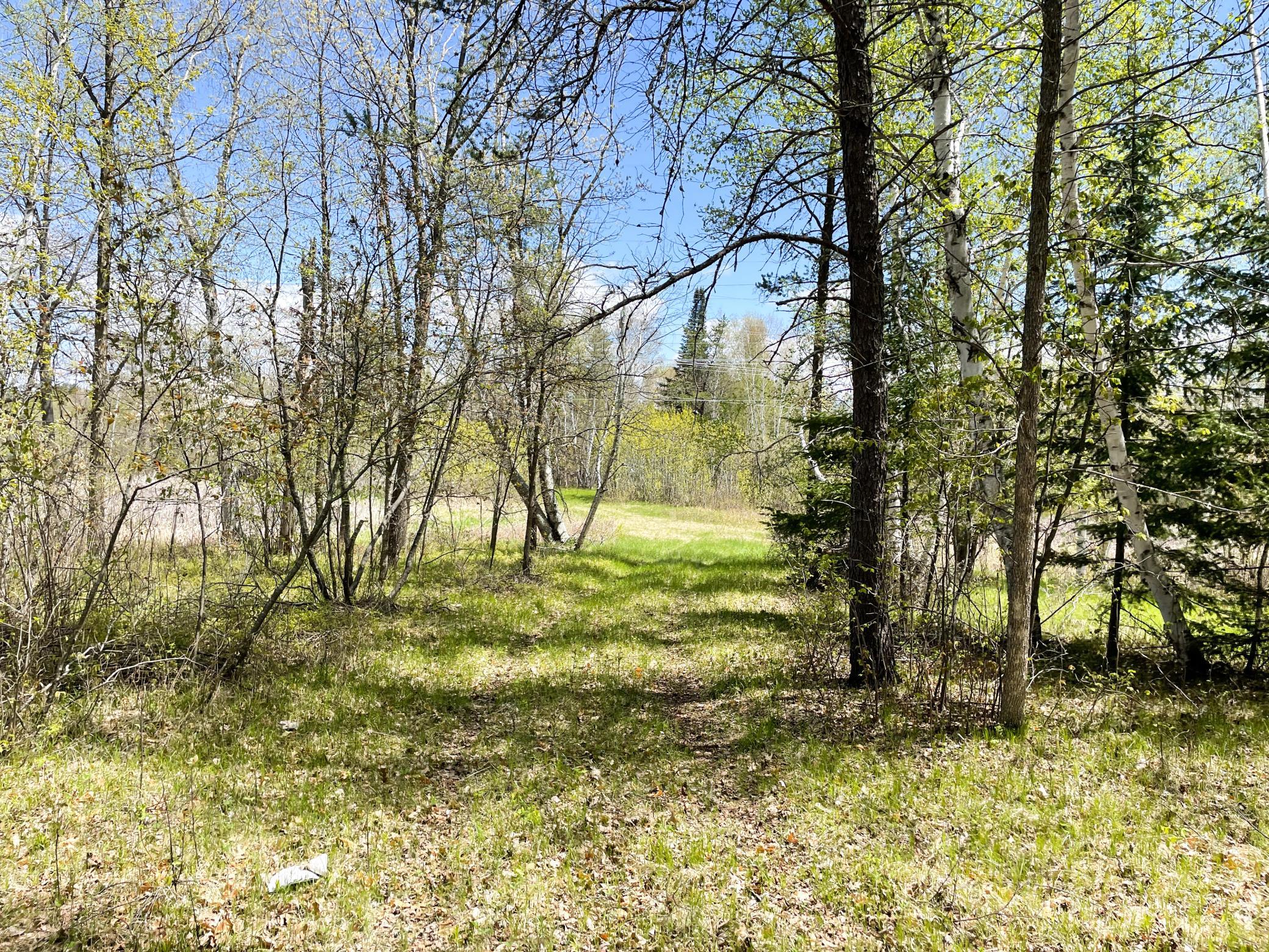 land for sale at TBD 15th Street NW in Bemidji, MN (photo 48 of 70)