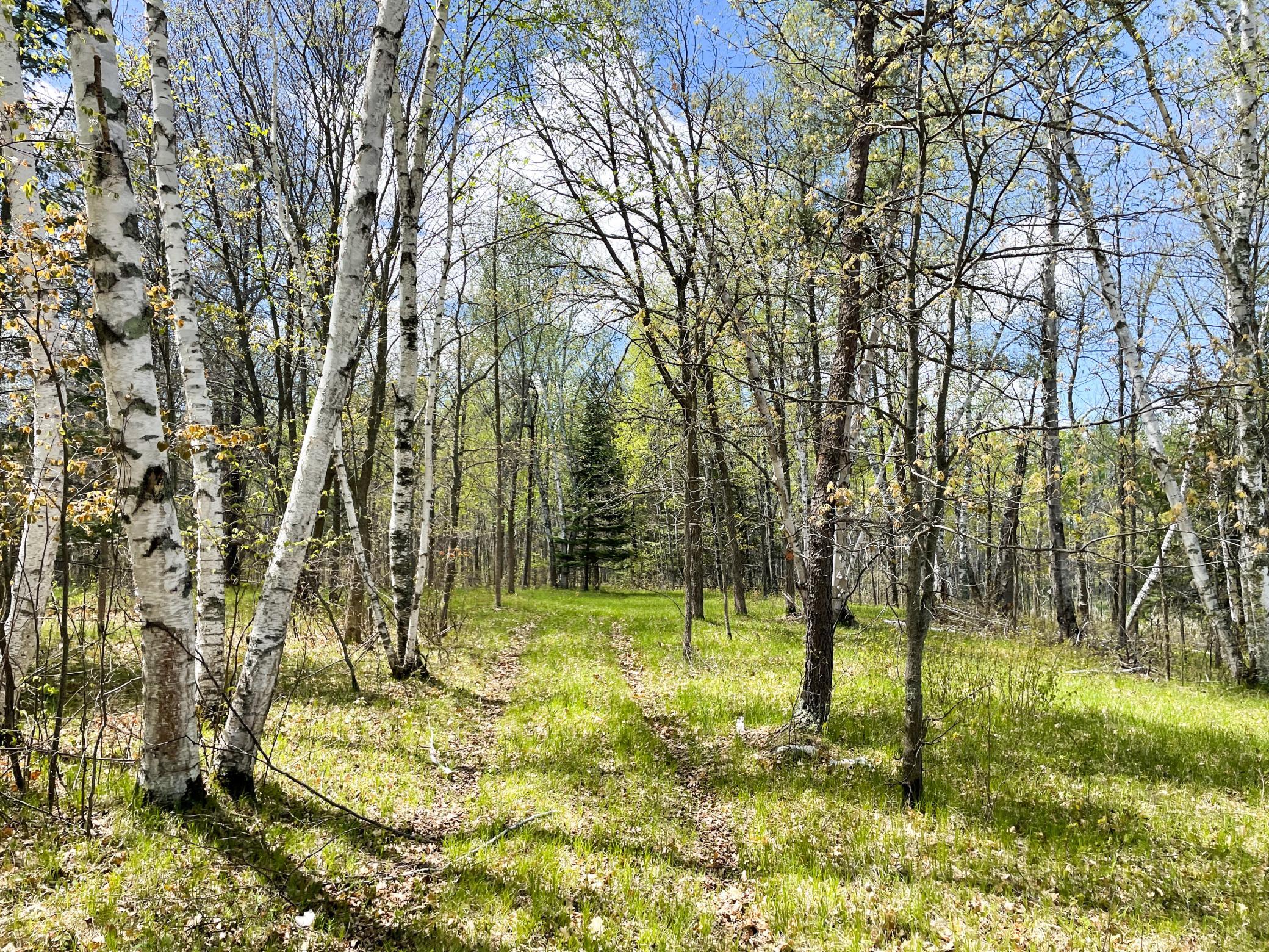 land for sale at TBD 15th Street NW in Bemidji, MN (photo 49 of 70)