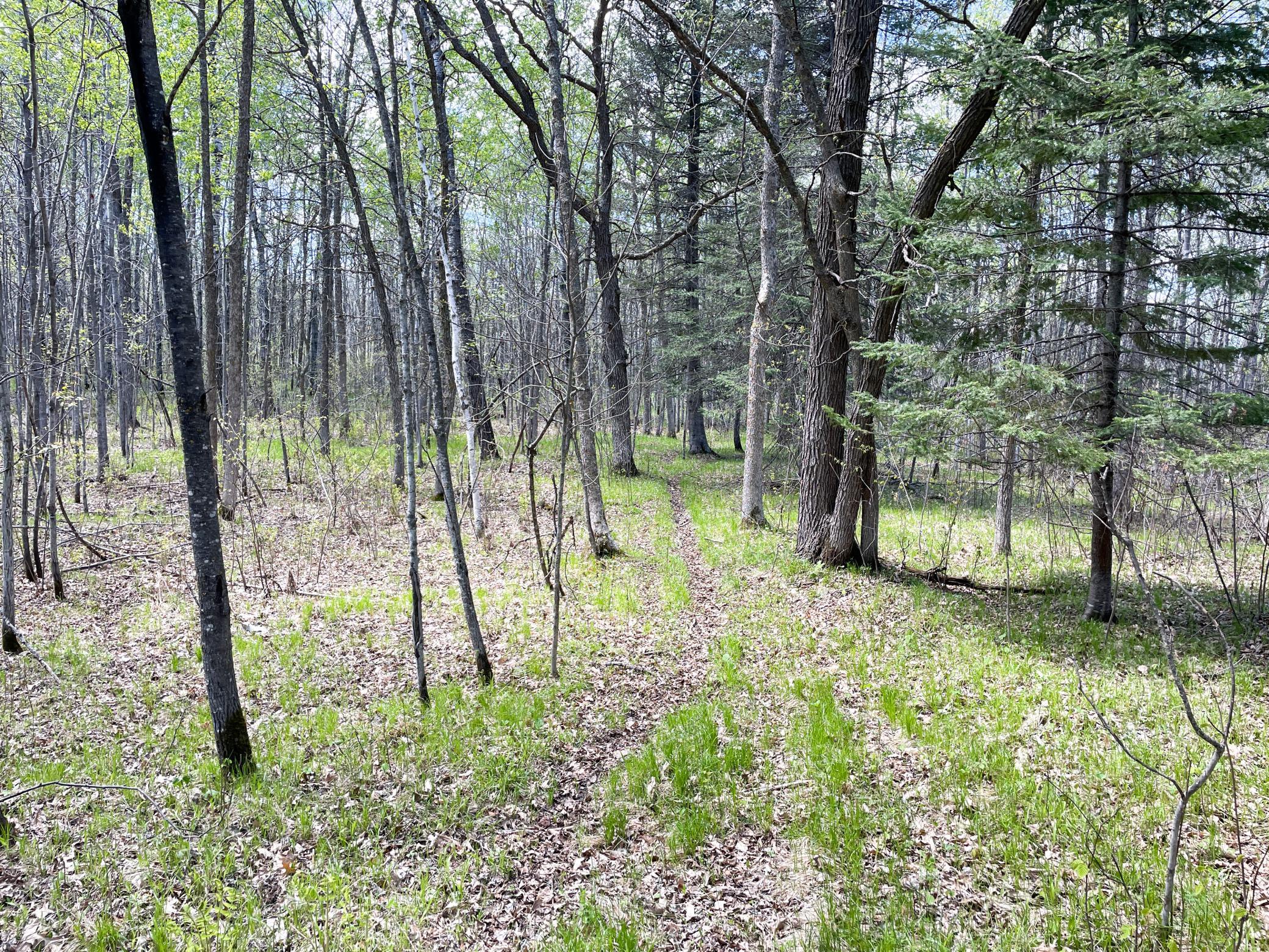 land for sale at TBD 15th Street NW in Bemidji, MN (photo 50 of 70)