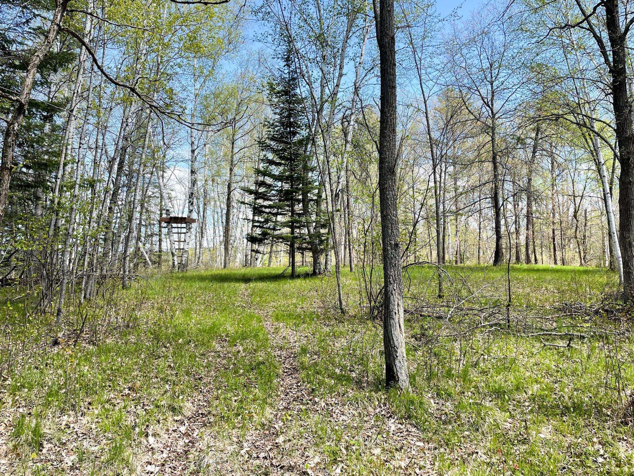 land for sale at TBD 15th Street NW in Bemidji, MN (photo 51 of 70)