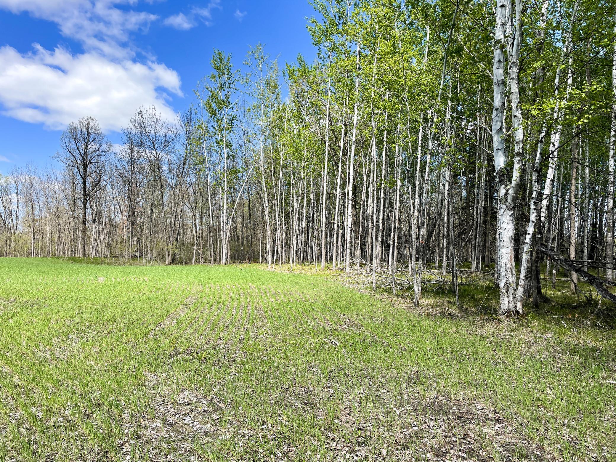 land for sale at TBD 15th Street NW in Bemidji, MN (photo 52 of 70)