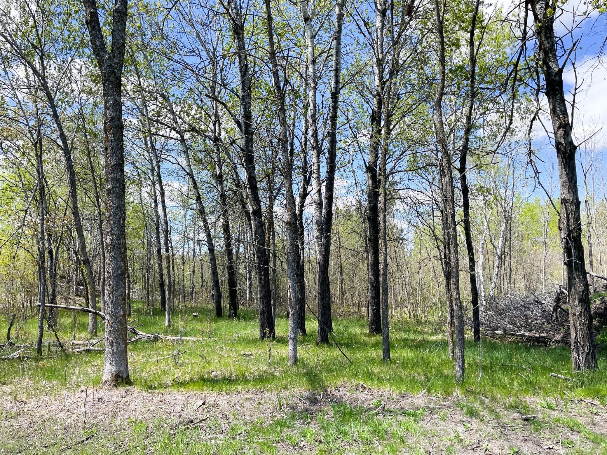 land for sale at TBD 15th Street NW in Bemidji, MN (photo 54 of 70)