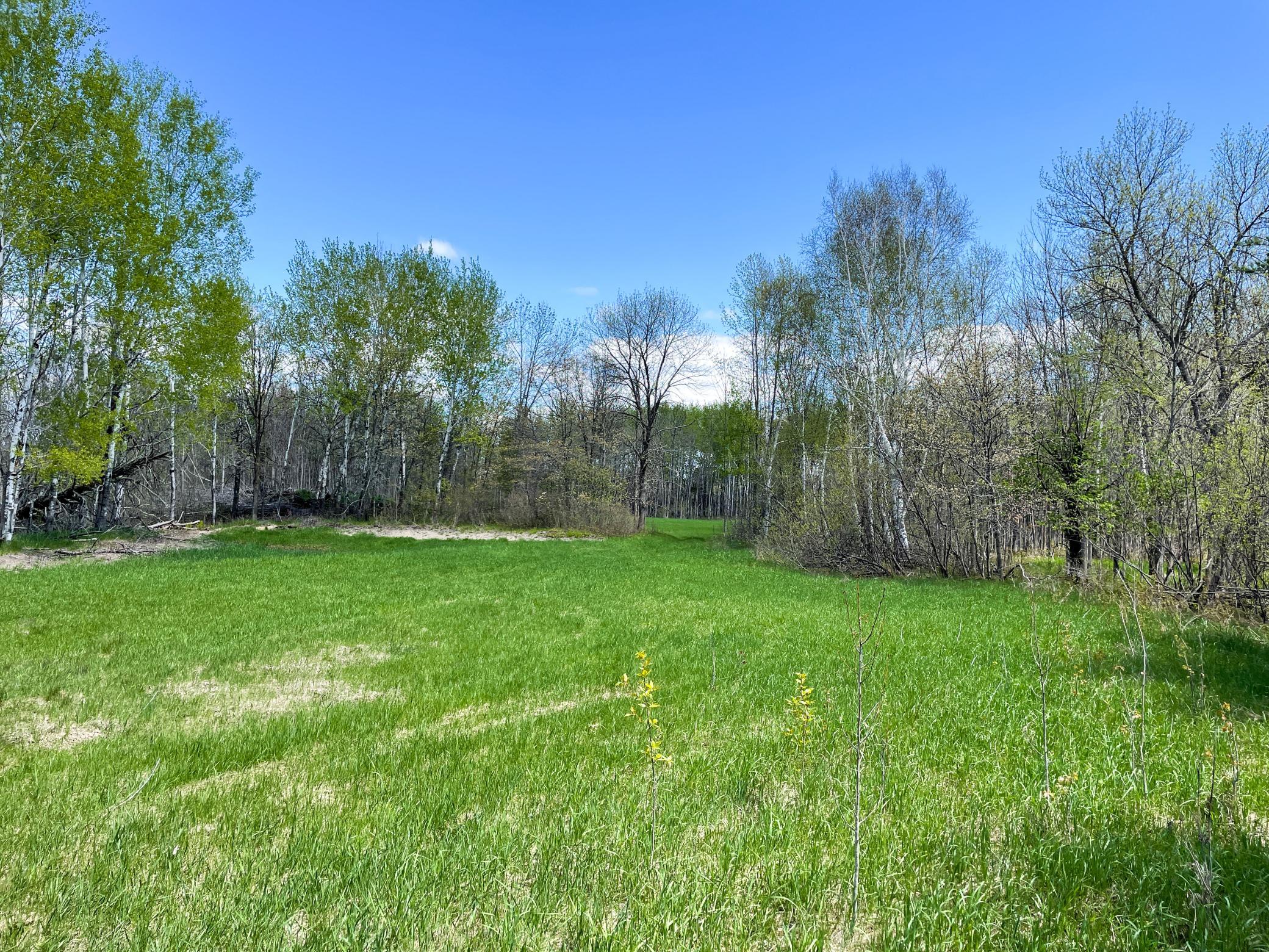 land for sale at TBD 15th Street NW in Bemidji, MN (photo 55 of 70)