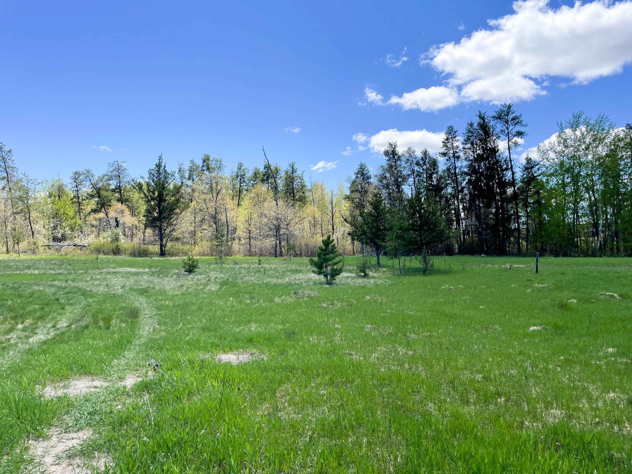 land for sale at TBD 15th Street NW in Bemidji, MN (photo 56 of 70)
