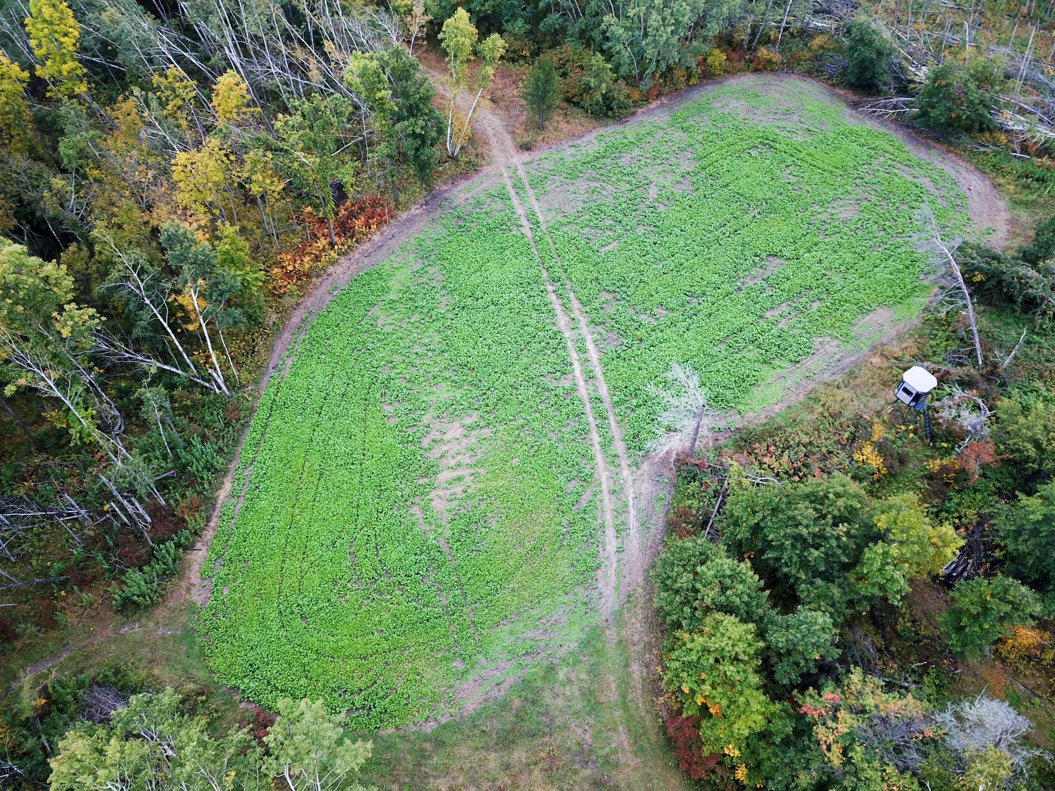 land for sale at TBD 15th Street NW in Bemidji, MN (photo 7 of 70)