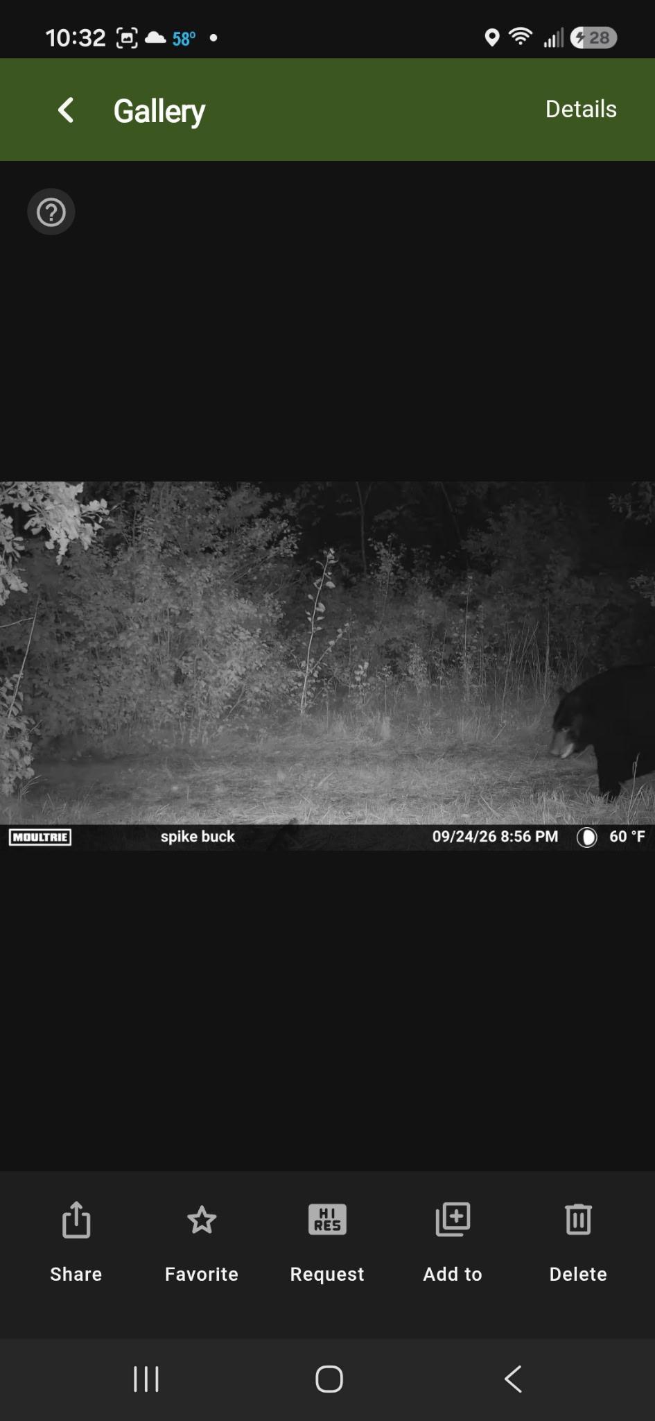land for sale at TBD 15th Street NW in Bemidji, MN (photo 65 of 70)