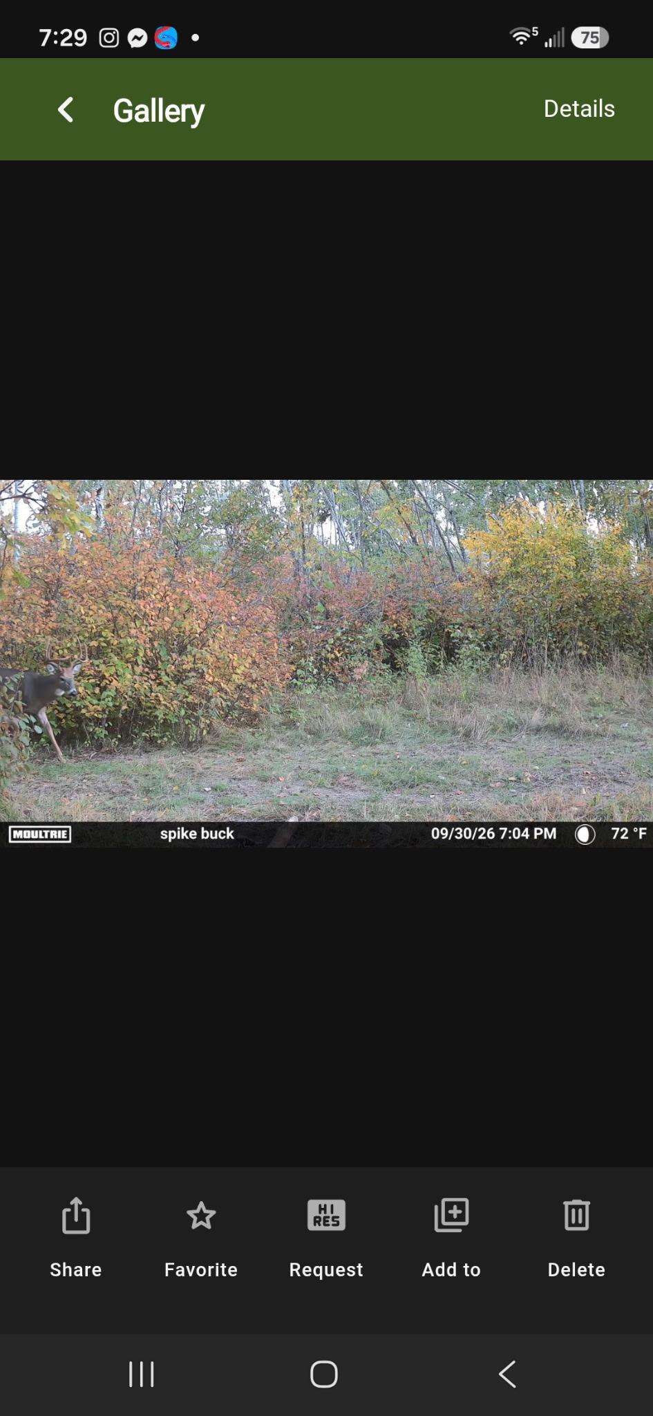 land for sale at TBD 15th Street NW in Bemidji, MN (photo 68 of 70)