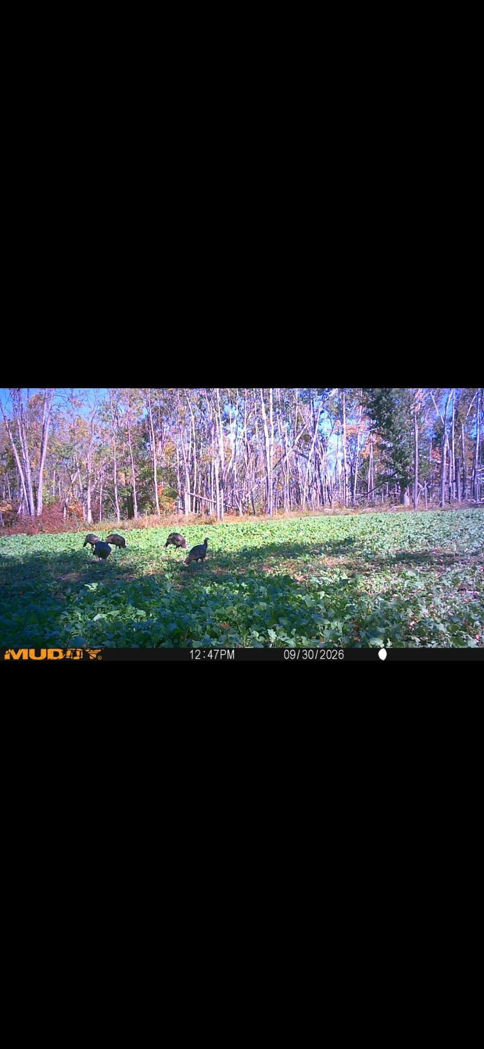 land for sale at TBD 15th Street NW in Bemidji, MN (photo 70 of 70)
