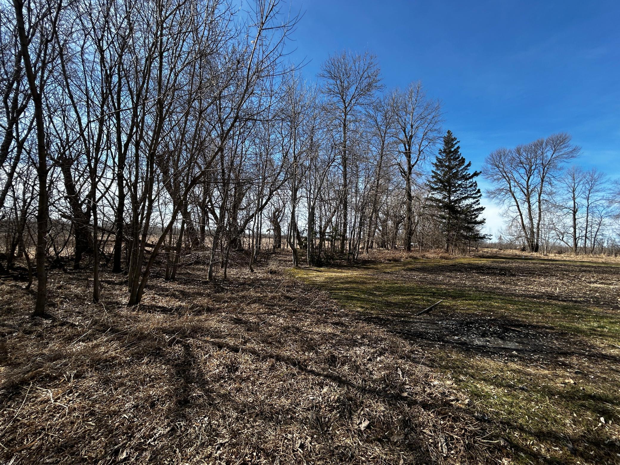 1940 single family home for sale at 58644 280th Street in Deer Creek, MN — 2 bed, 1 bath (photo 38 of 56)