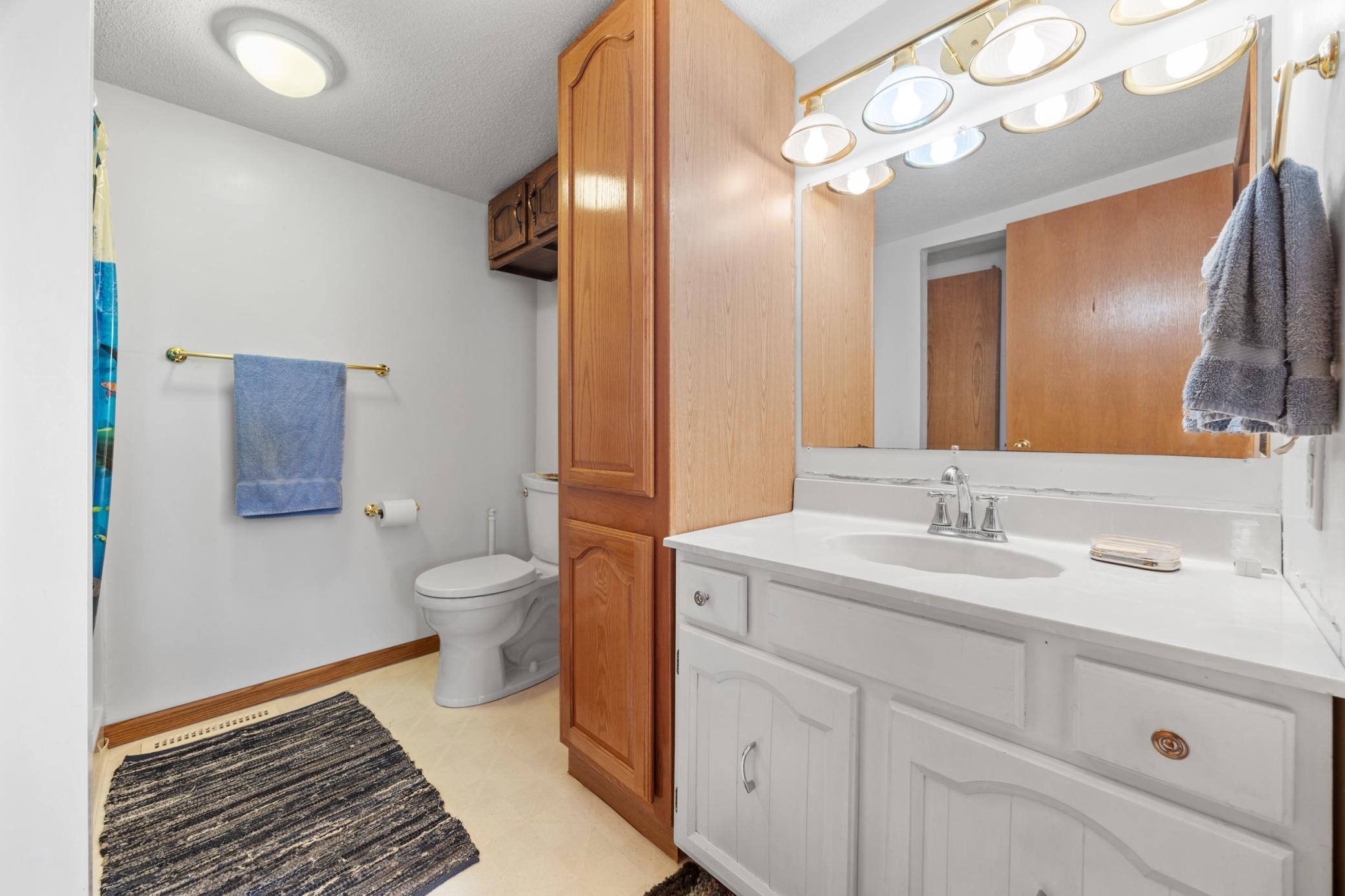 1971 single family home for sale at 43951 Percheron Loop in Pelican Rapids, MN — 4 bed, 4 bath (photo 21 of 54)