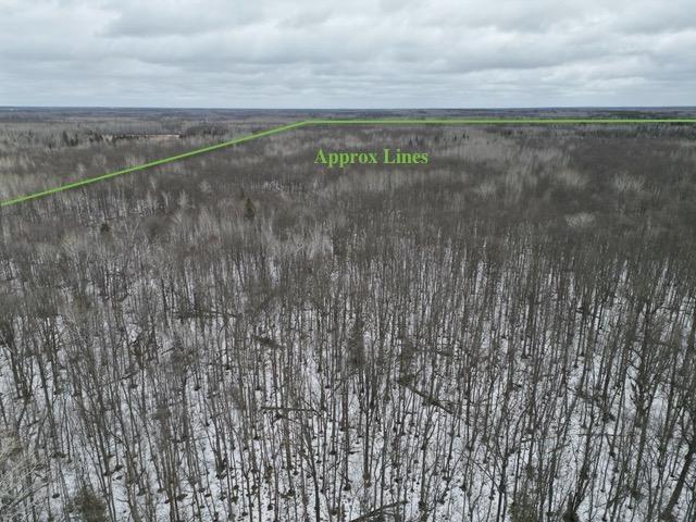 TBD Spangrud Court NE, Kelliher MN 56650 - Photo 3 of 14