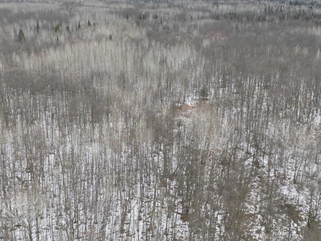 TBD Spangrud Court NE, Kelliher MN 56650 - Photo 4 of 14
