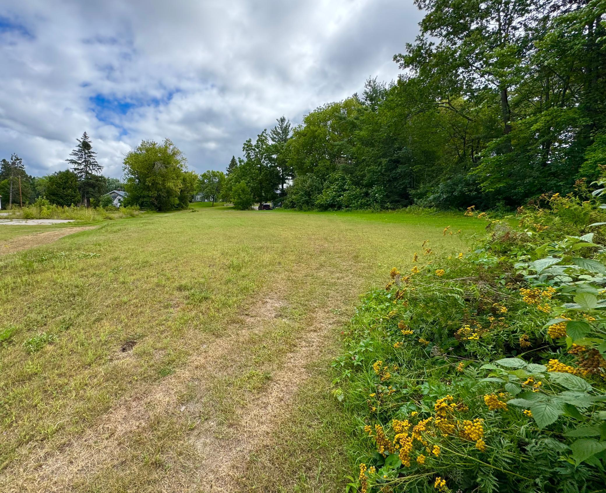 1910 single family home for sale at 729 NW 3rd Avenue in Grand Rapids, MN — 1 bed, 2 bath (photo 3 of 5)