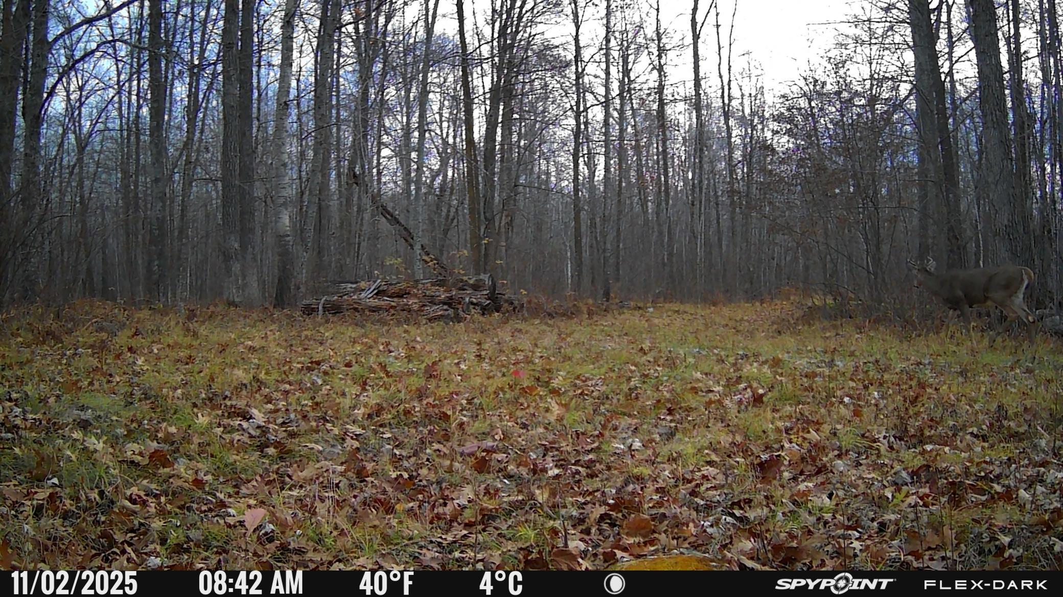 TBD- 315th Avenue, Laporte MN 56461 - Photo 15 of 38