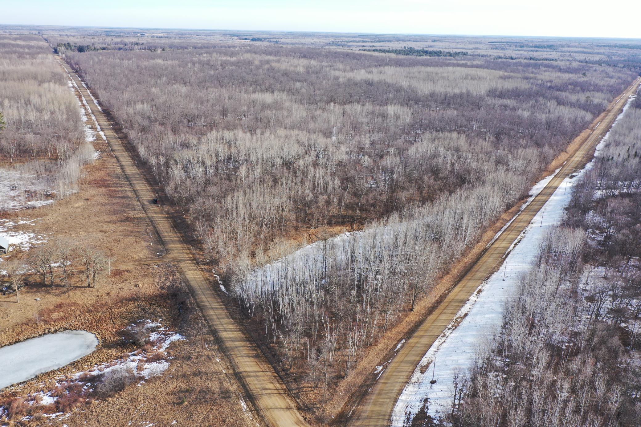 TBD- 315th Avenue, Laporte MN 56461 - Photo 4 of 38