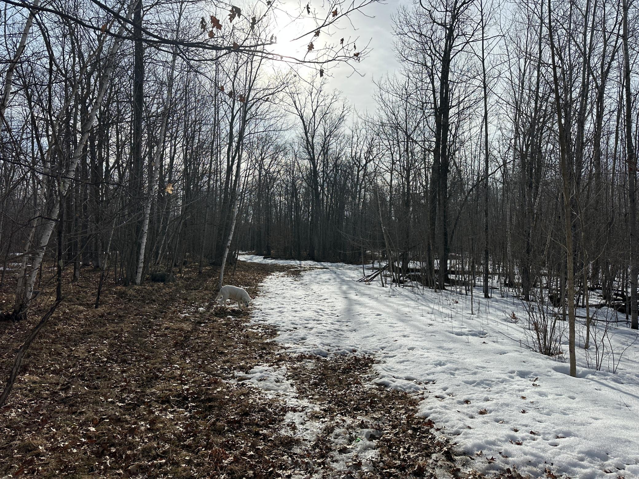 TBD 315th Avenue, Laporte MN 56461 - Photo 13 of 39