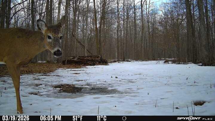 TBD 315th Avenue, Laporte MN 56461 - Photo 24 of 39
