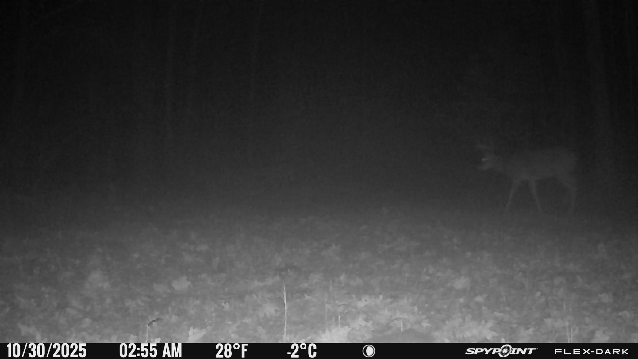 TBD 315th Avenue, Laporte MN 56461 - Photo 28 of 39