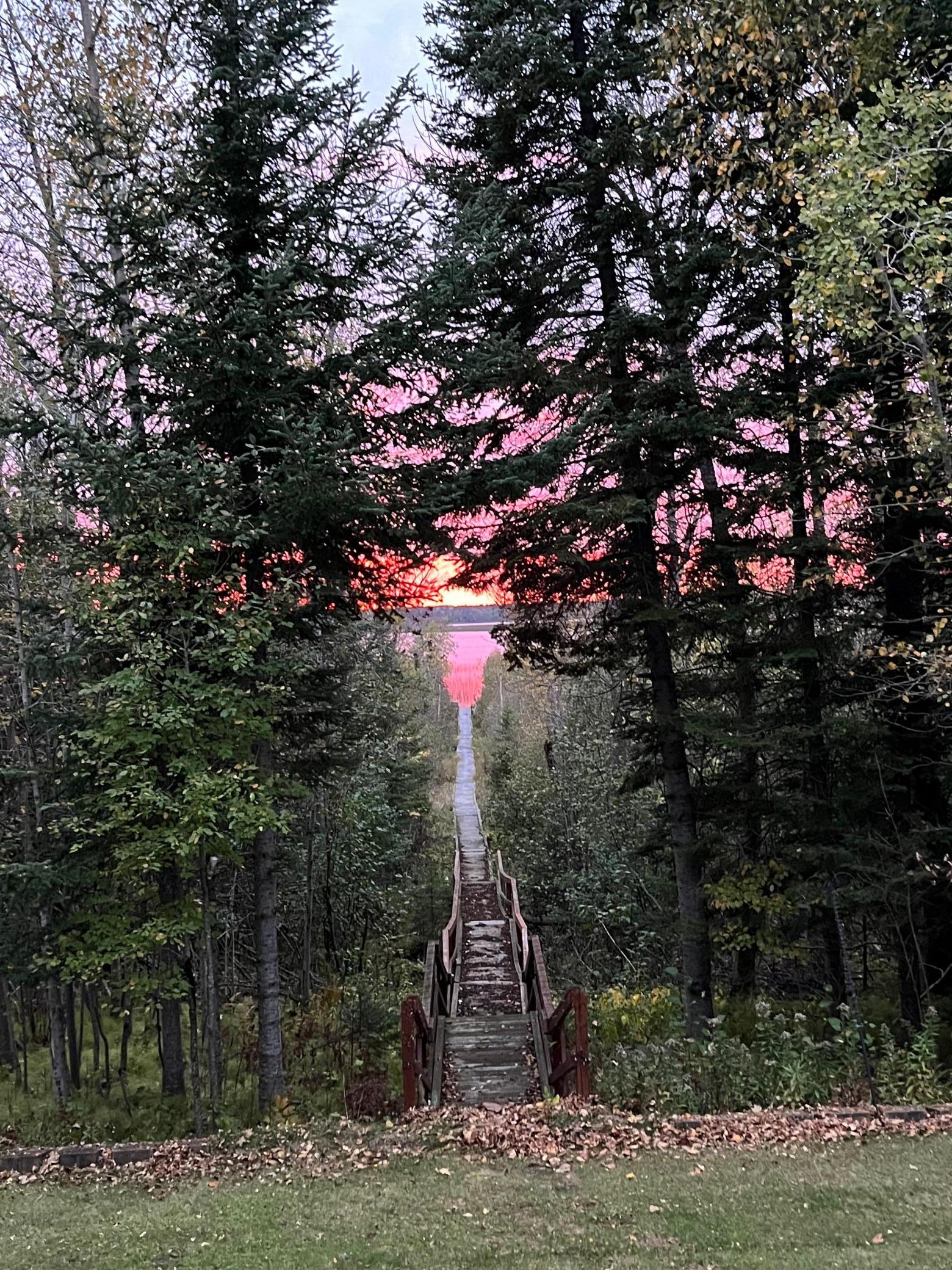 2002 single family home for sale at 50185 219th Avenue in Bemidji, MN — 1 bed, 1 bath (photo 43 of 63)