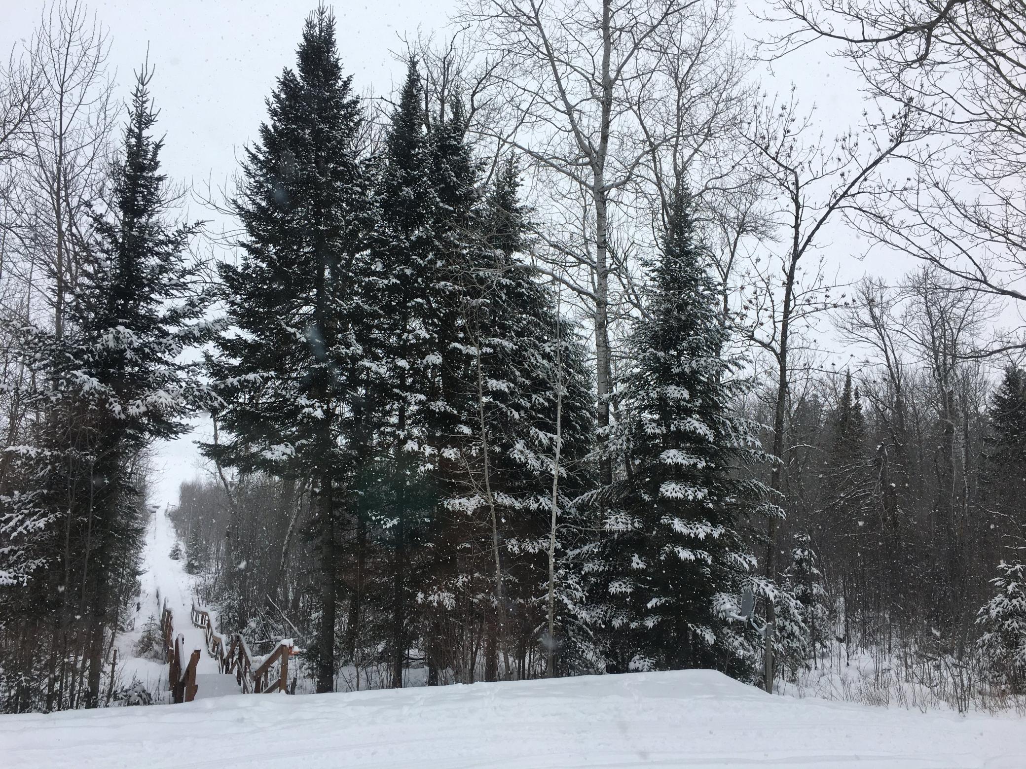 2002 single family home for sale at 50185 219th Avenue in Bemidji, MN — 1 bed, 1 bath (photo 46 of 63)