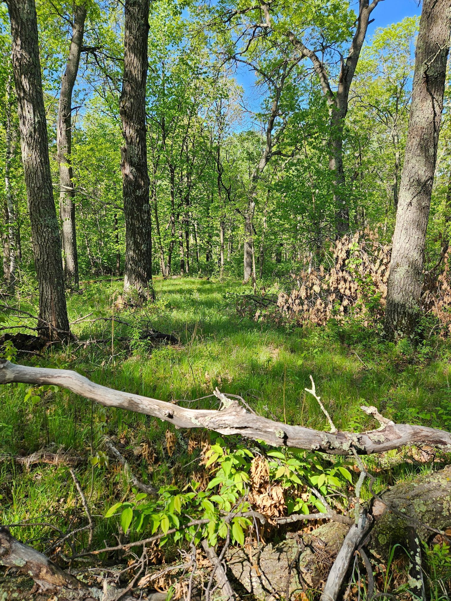 land for sale at TBD Lot 49, Blk 1 HURON DR. in Breezy Point, MN (photo 3 of 8)
