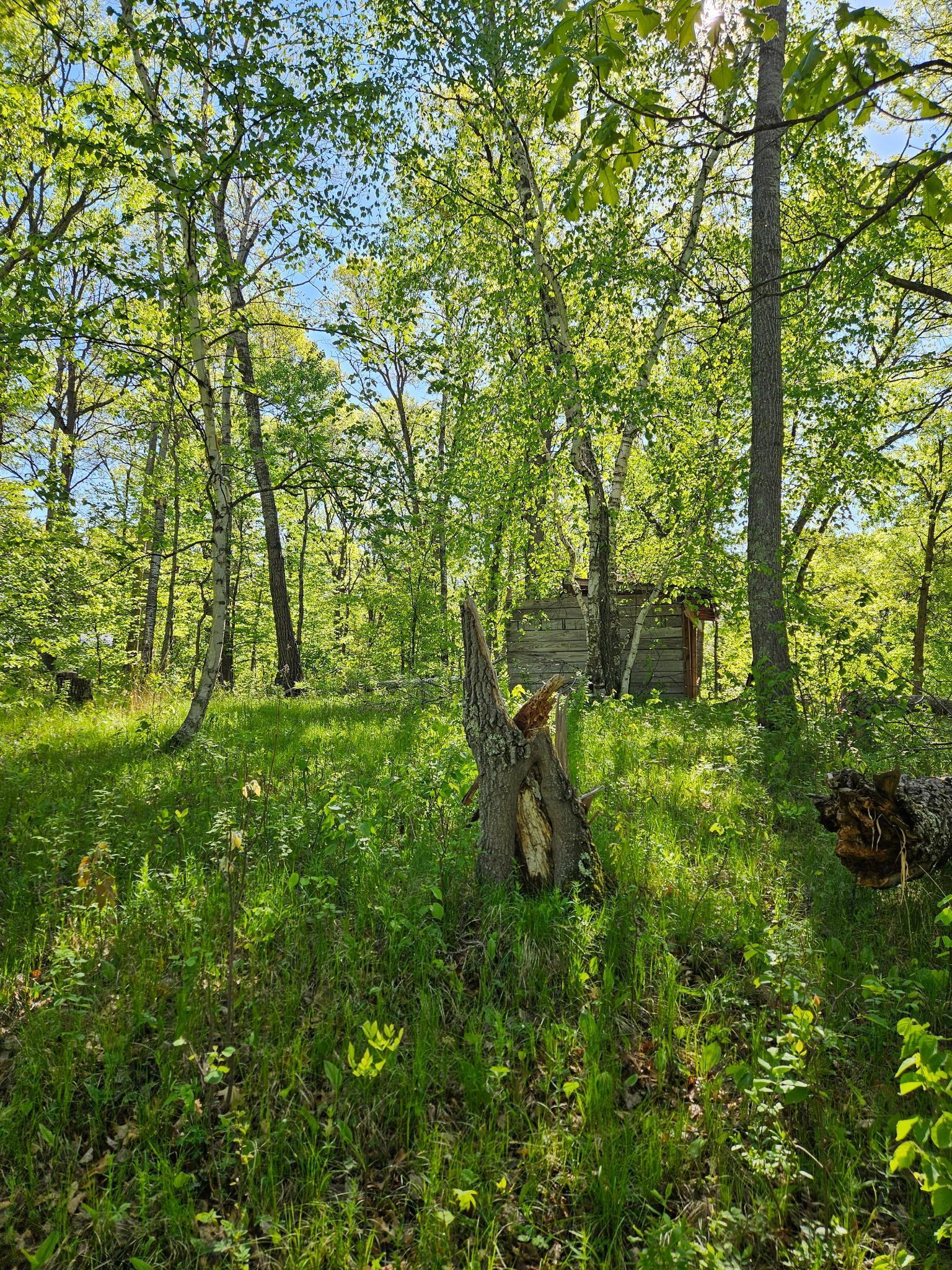 land for sale at TBD Lot 49, Blk 1 HURON DR. in Breezy Point, MN (photo 5 of 8)