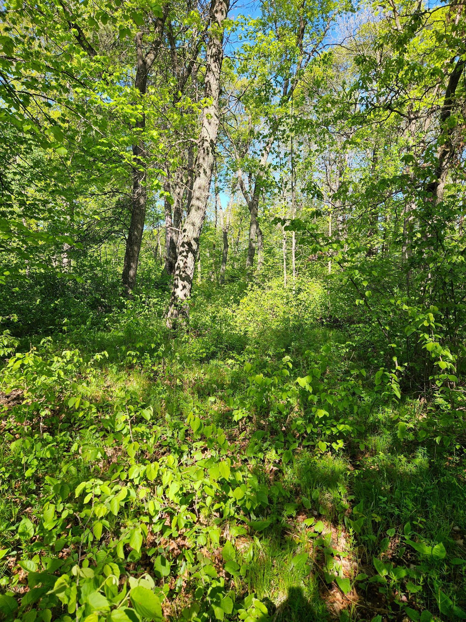 land for sale at TBD Lot 49, Blk 1 HURON DR. in Breezy Point, MN (photo 7 of 8)
