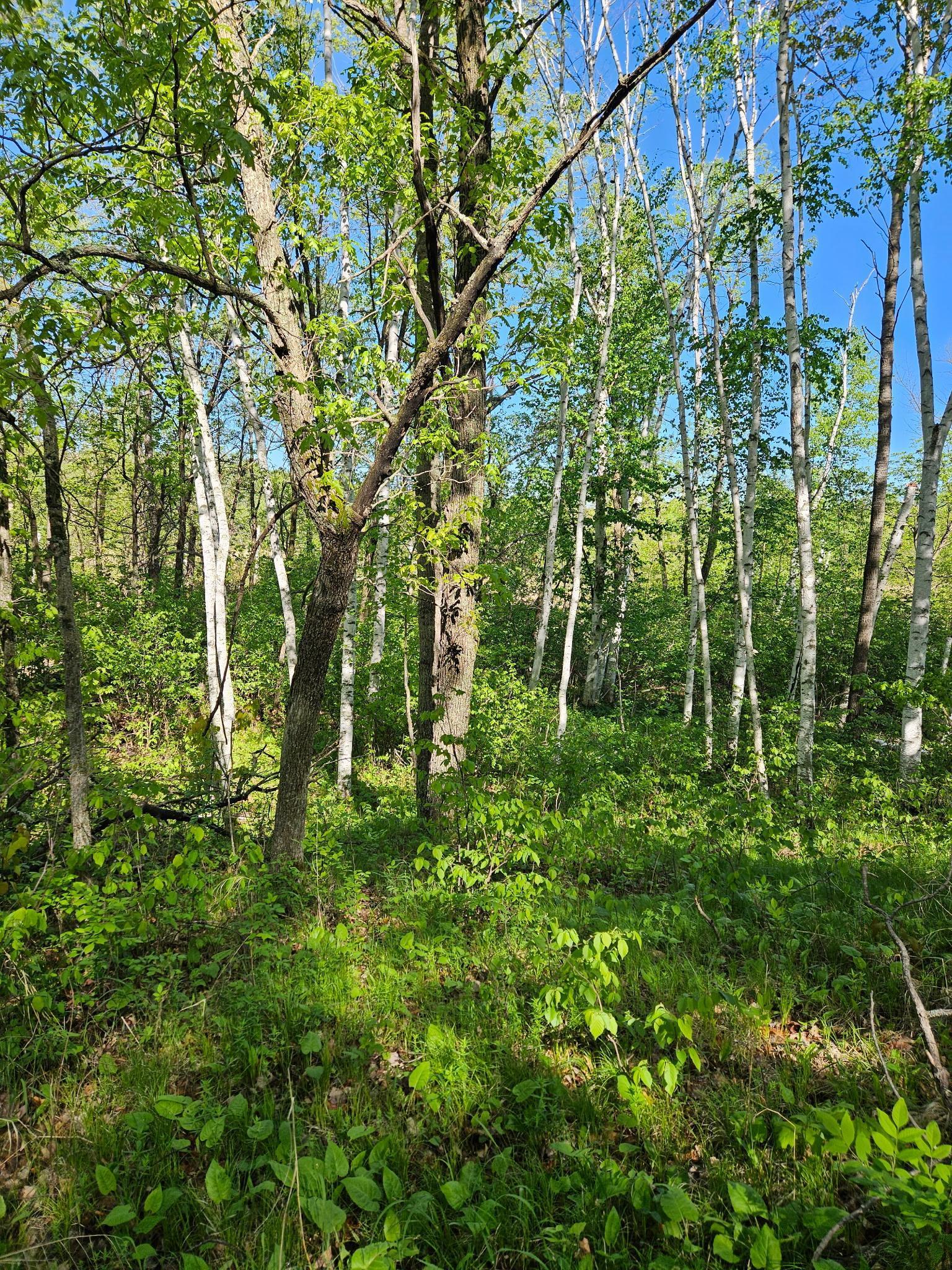 land for sale at TBD Lot 49, Blk 1 HURON DR. in Breezy Point, MN (photo 8 of 8)