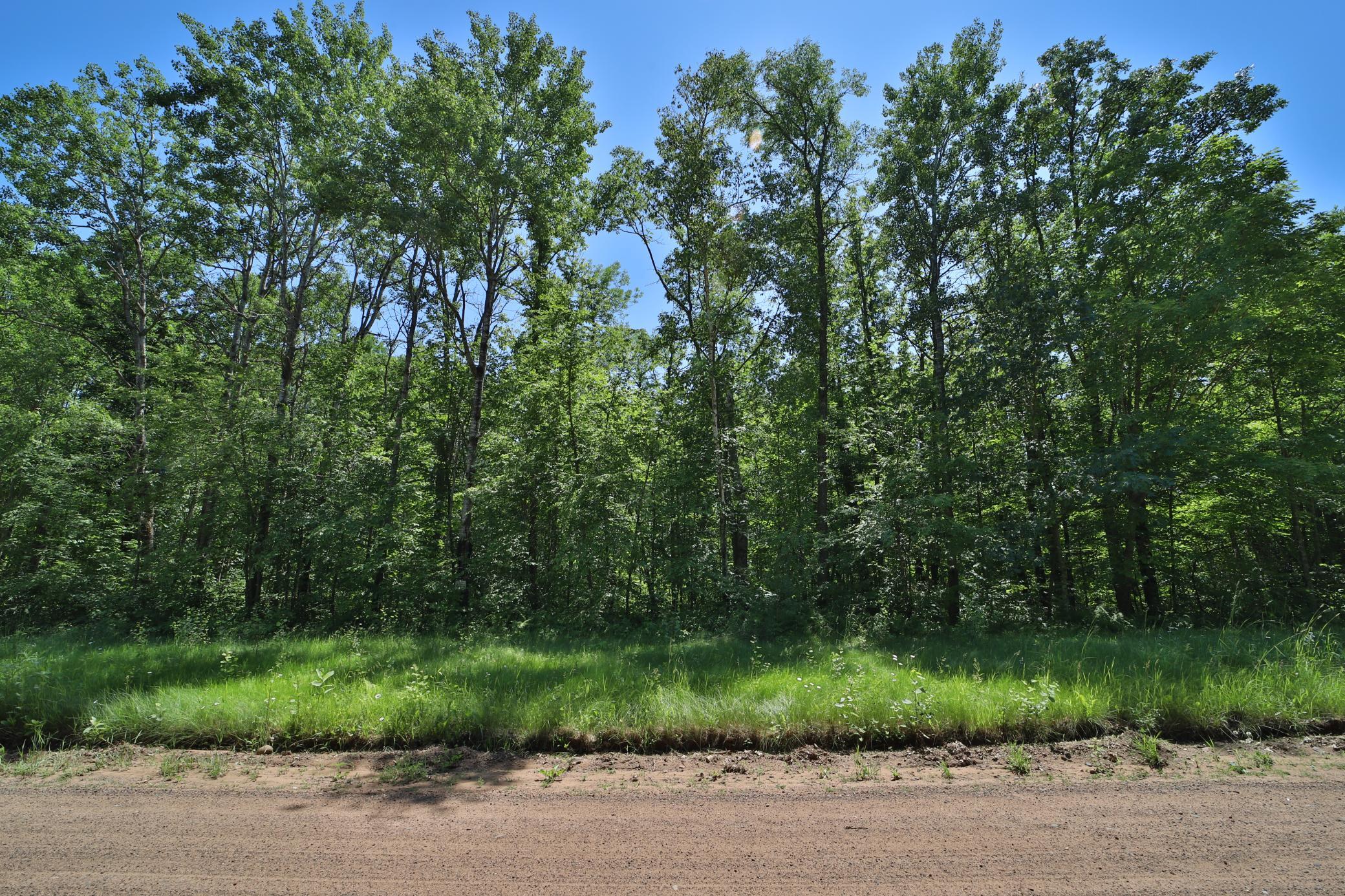 Tract C Olander Road, Crosby MN 56441 - Photo 4 of 12
