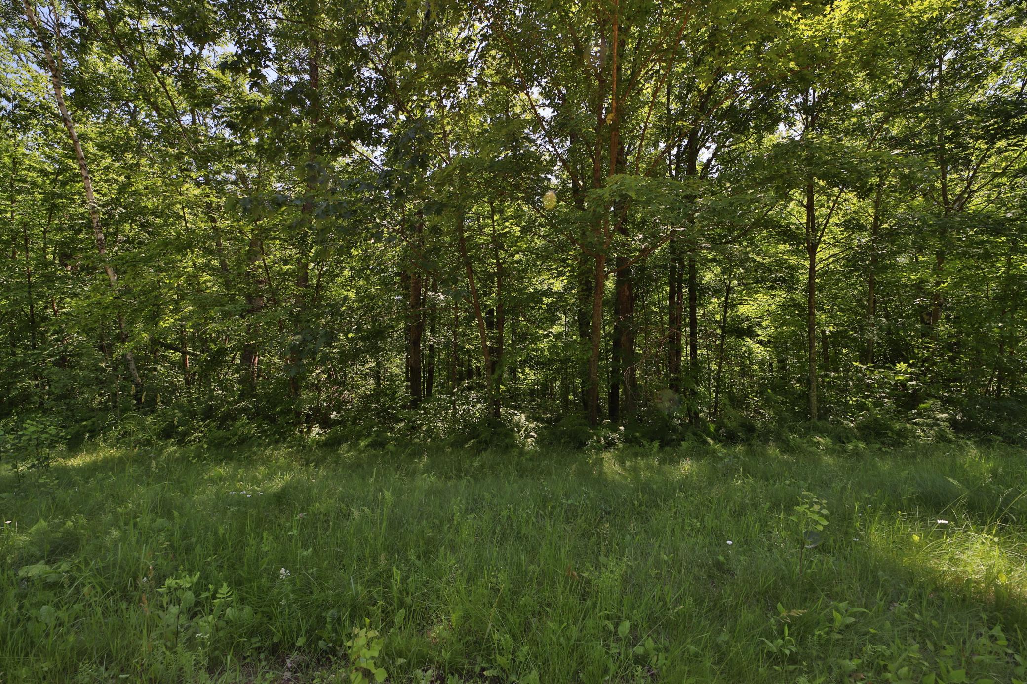 Tract C Olander Road, Crosby MN 56441 - Photo 7 of 12