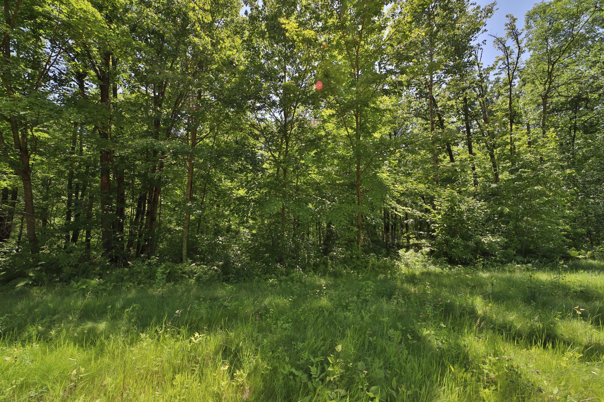 Tract C Olander Road, Crosby MN 56441 - Photo 8 of 12