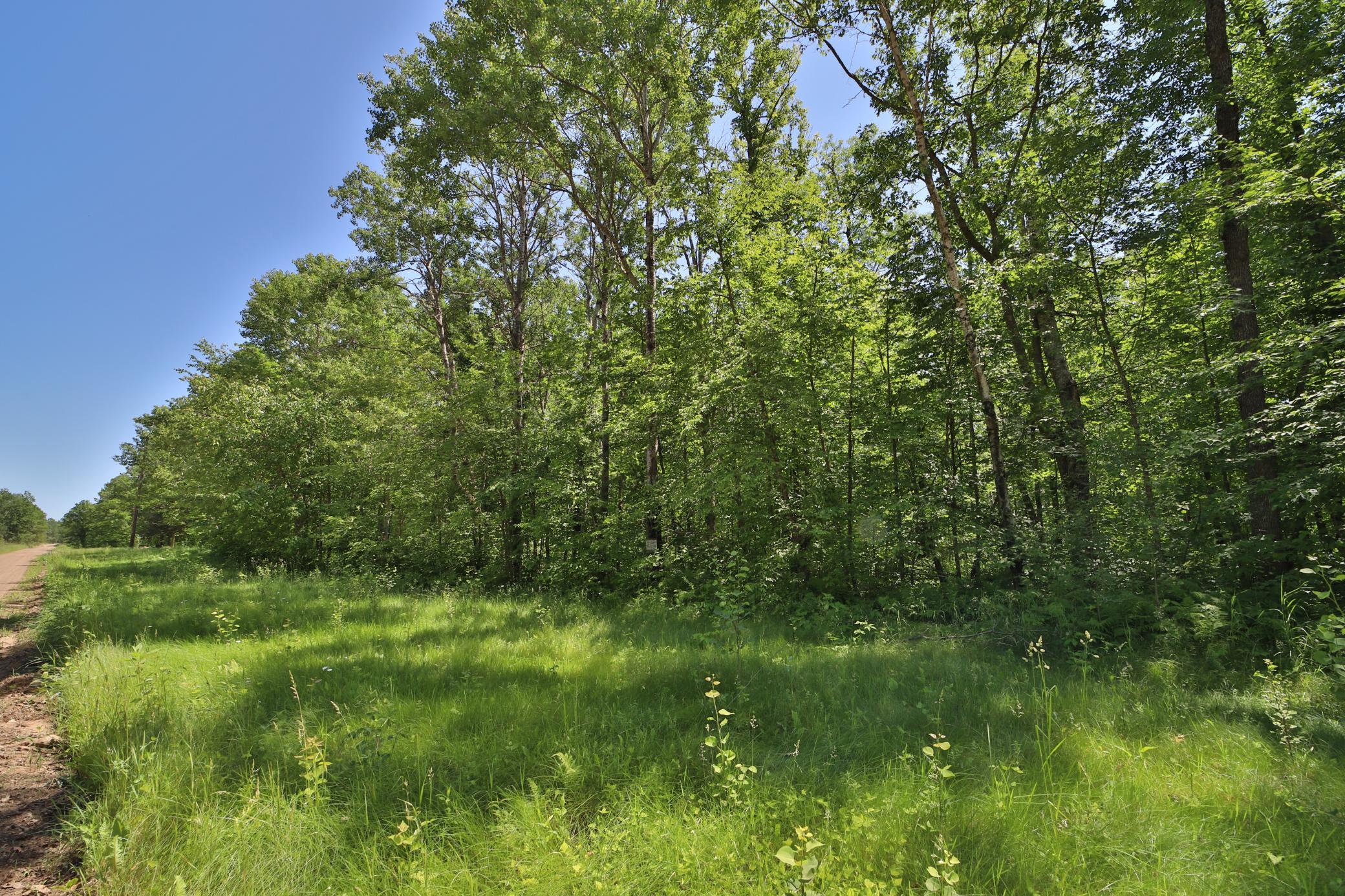 Tract C Olander Road, Crosby MN 56441 - Photo 9 of 12