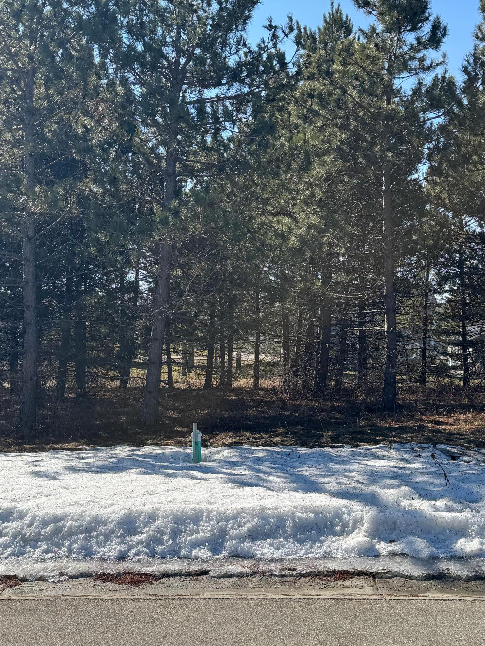 2026 single family home for sale at 1933 Long Pine Drive in Detroit Lakes, MN — 4 bed, 3 bath (photo 3 of 6)