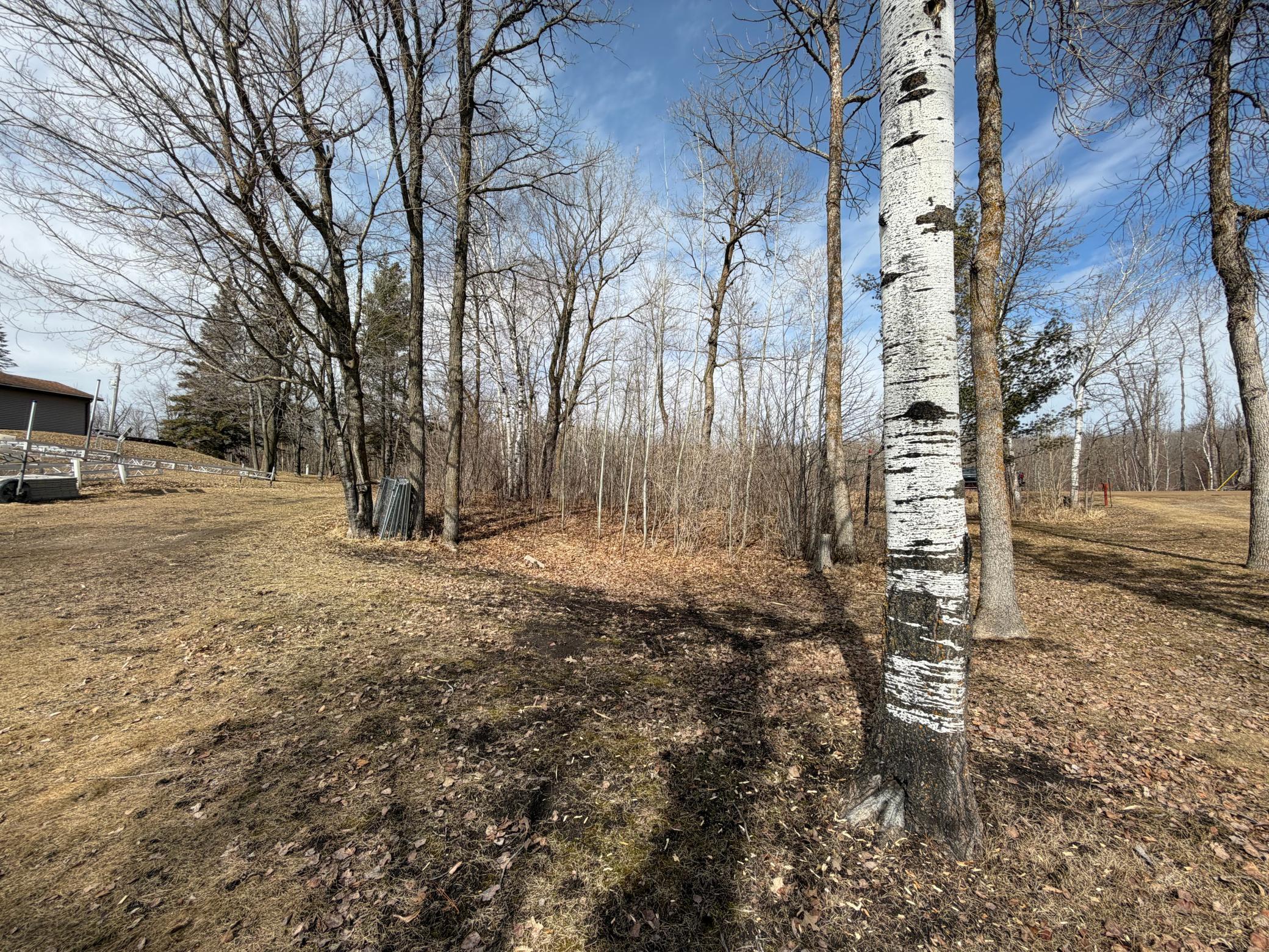 land for sale at 29603 374th Street in Ogema, MN (photo 5 of 10)