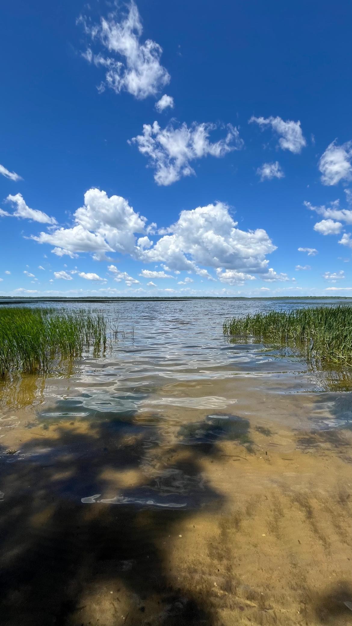 1992 single family home for sale at 21748 E Height Of Land Drive in Detroit Lakes, MN — 4 bed, 2 bath (photo 61 of 65)