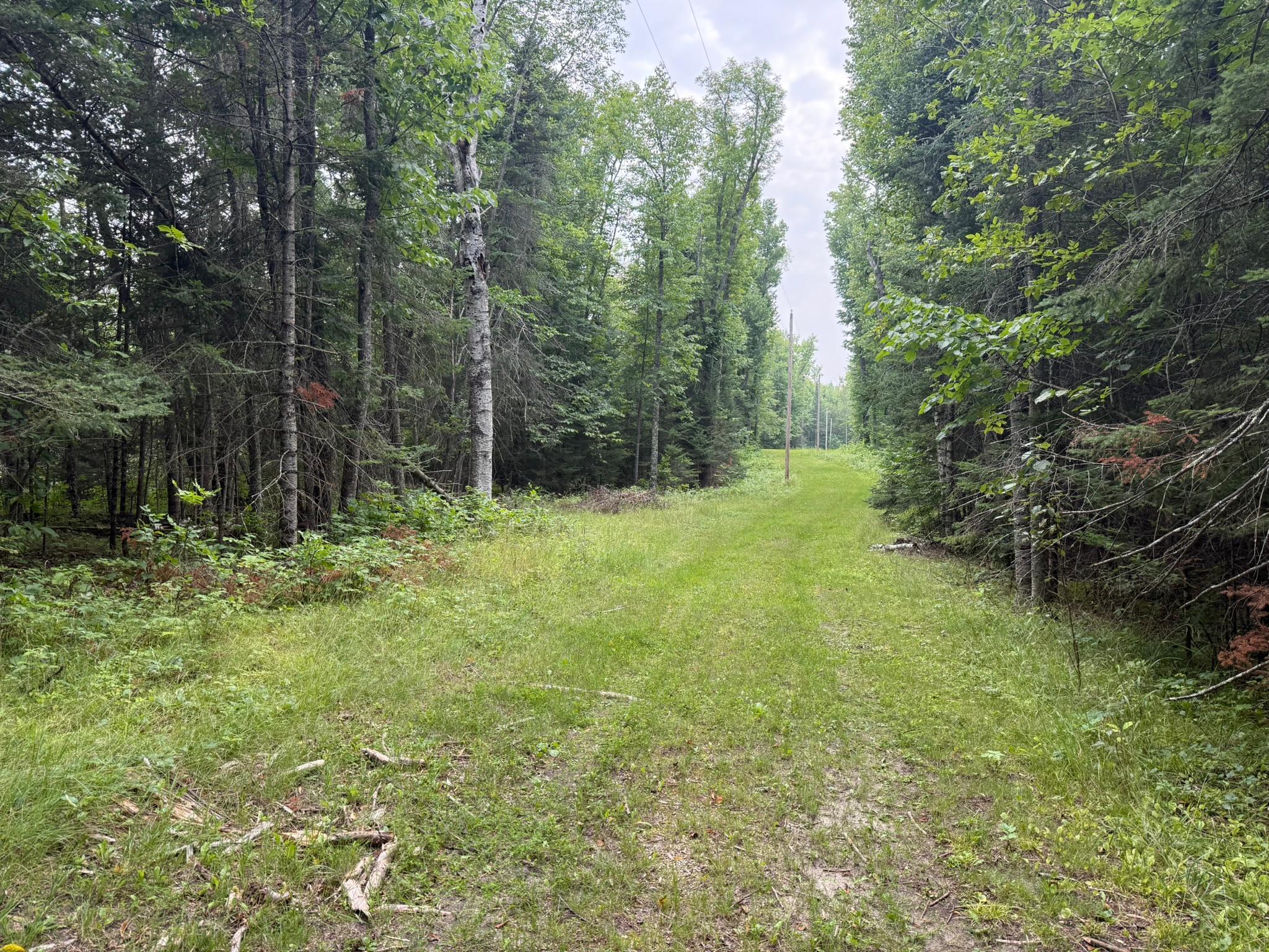 land for sale at TBD Cedar Point Road in Marcell, MN (photo 3 of 11)