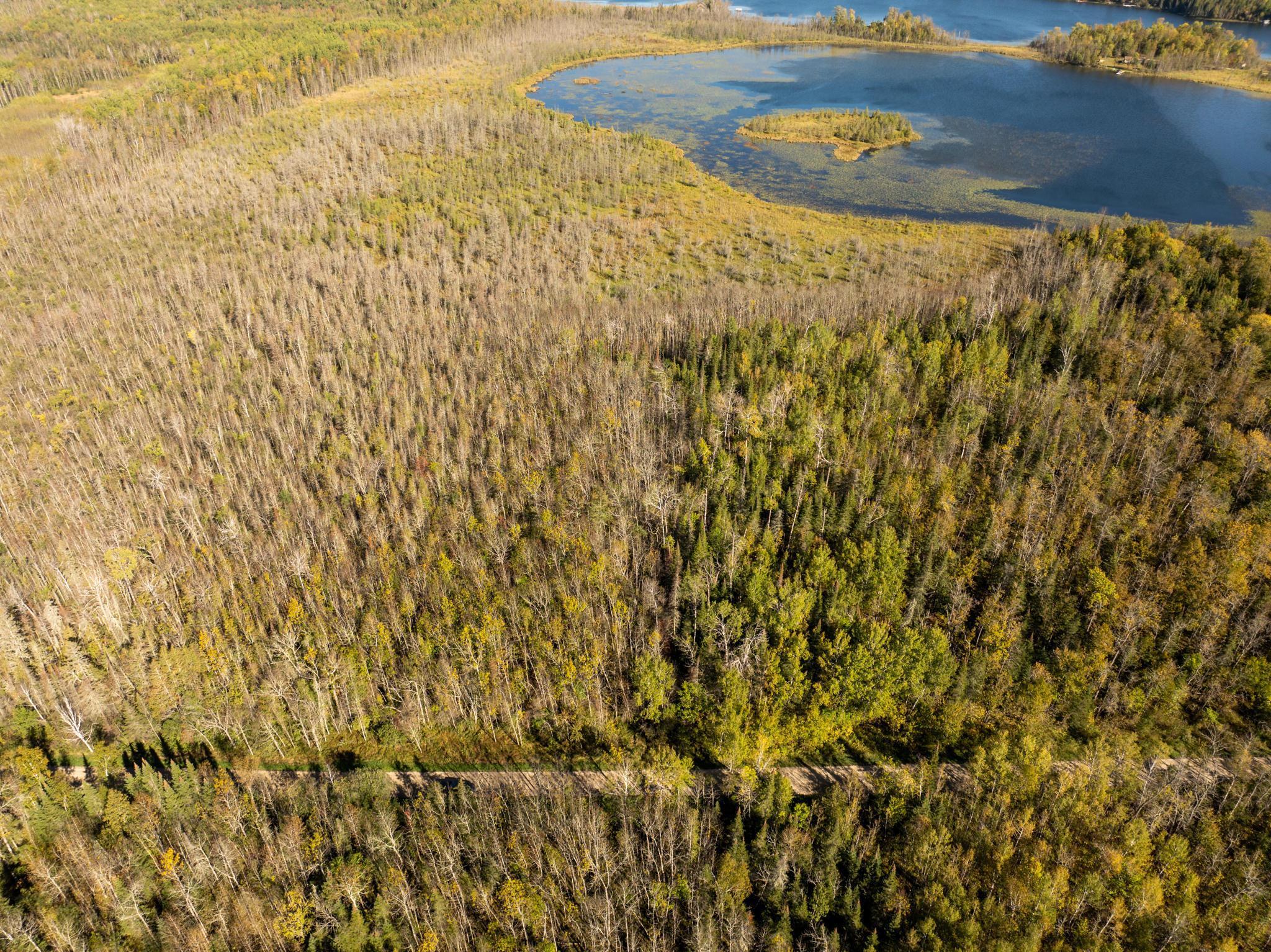 land for sale at TBD Cedar Point Road in Marcell, MN (photo 5 of 11)