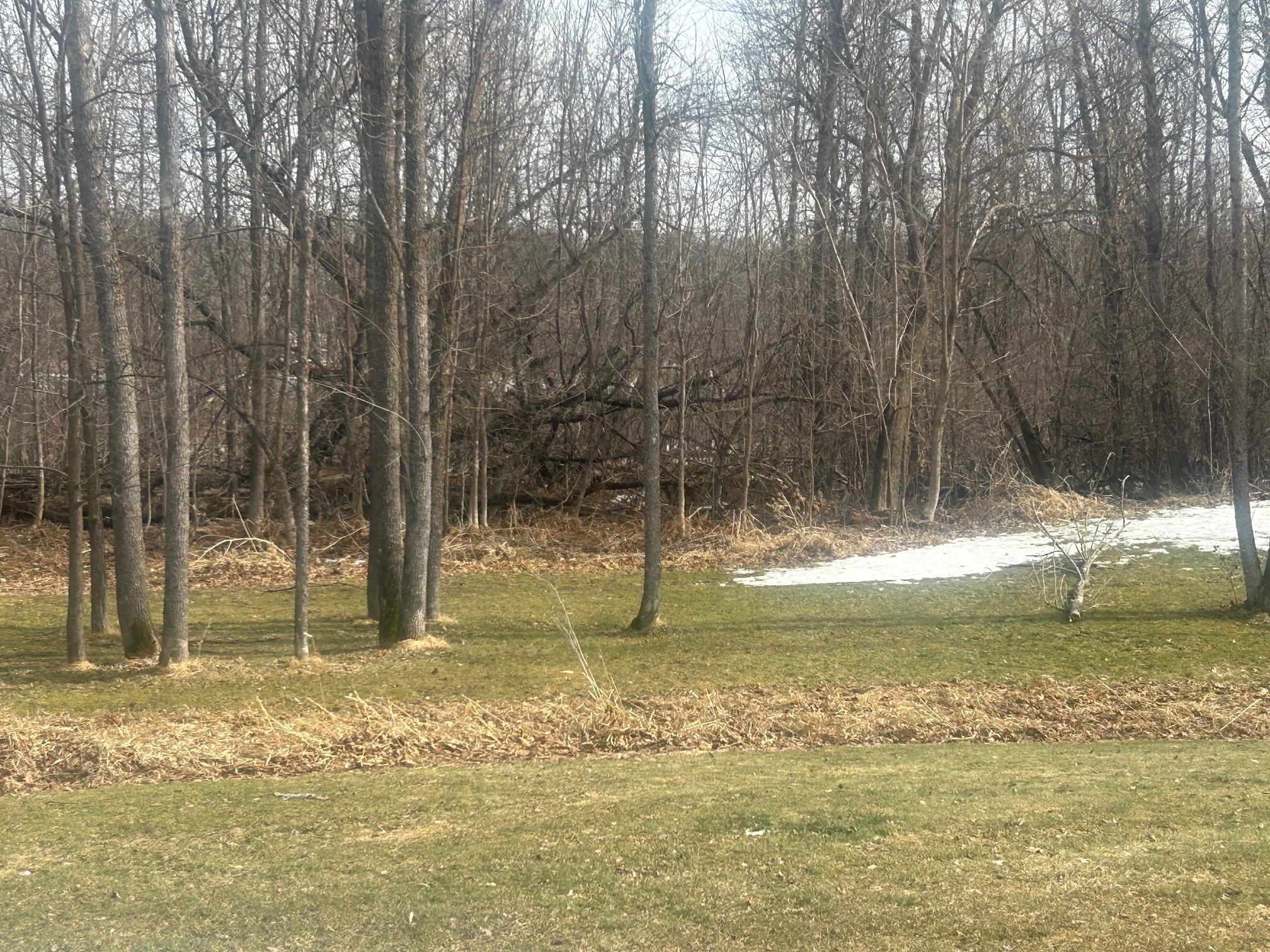 land for sale at TBD TBD in Hill City, MN