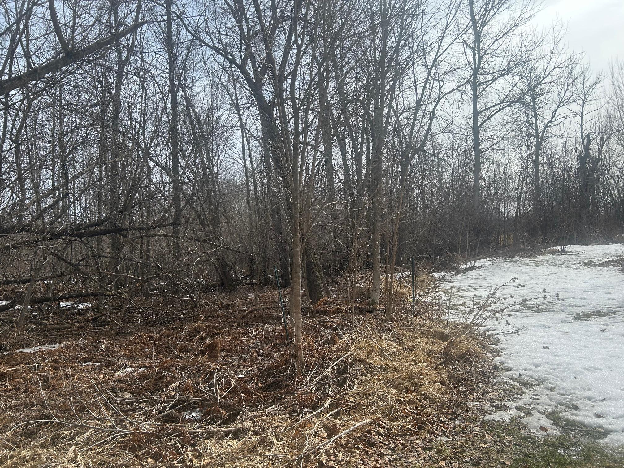 land for sale at TBD TBD in Hill City, MN (photo 4 of 8)