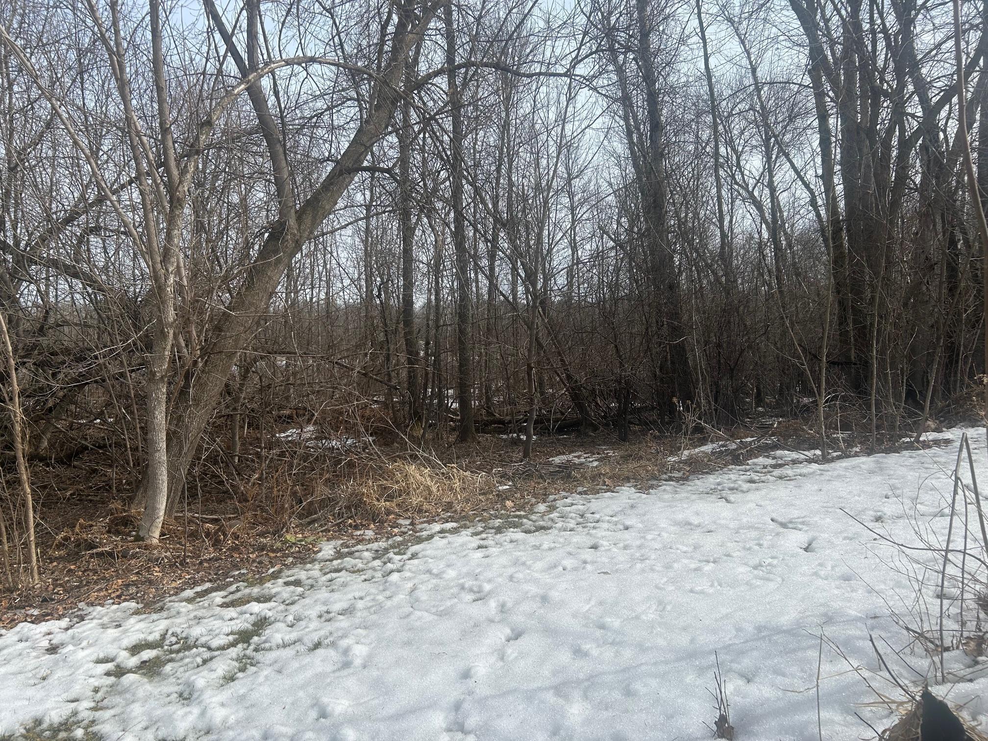 land for sale at TBD TBD in Hill City, MN (photo 5 of 8)