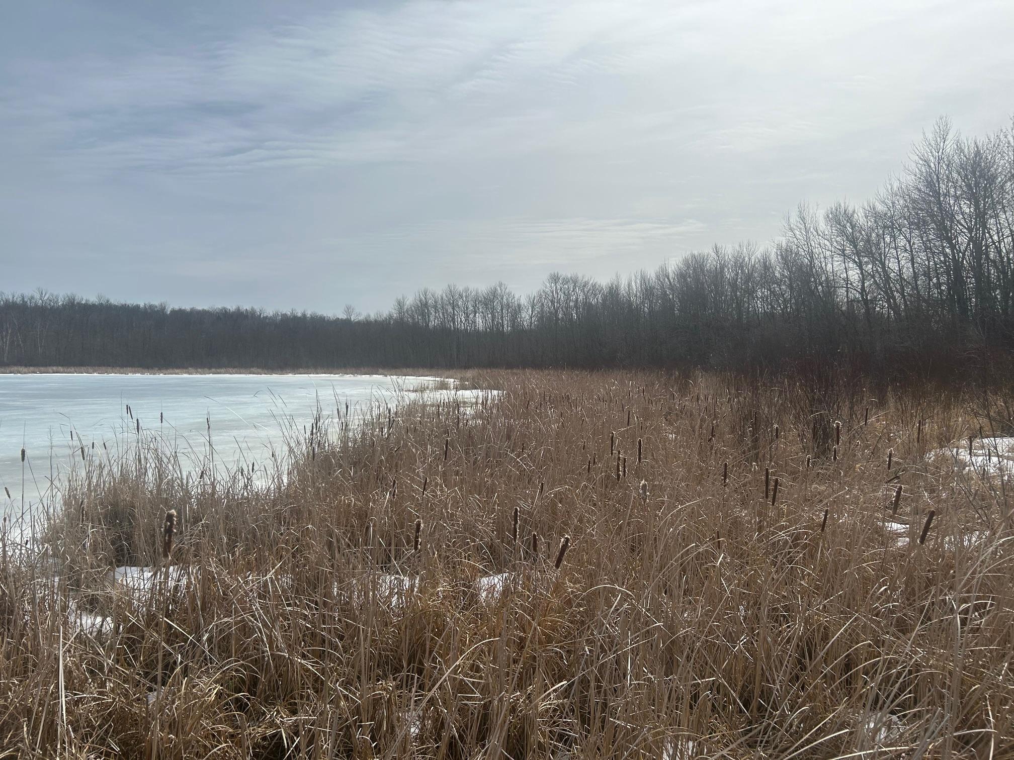 land for sale at TBD TBD in Hill City, MN (photo 6 of 8)
