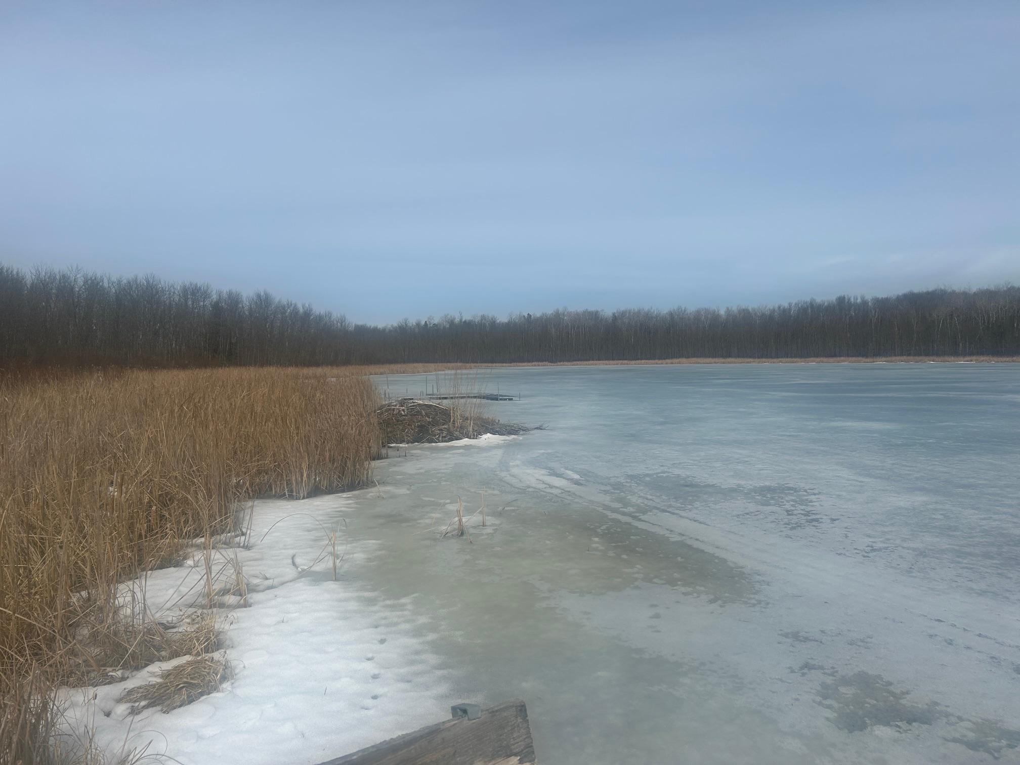 land for sale at TBD TBD in Hill City, MN (photo 8 of 8)