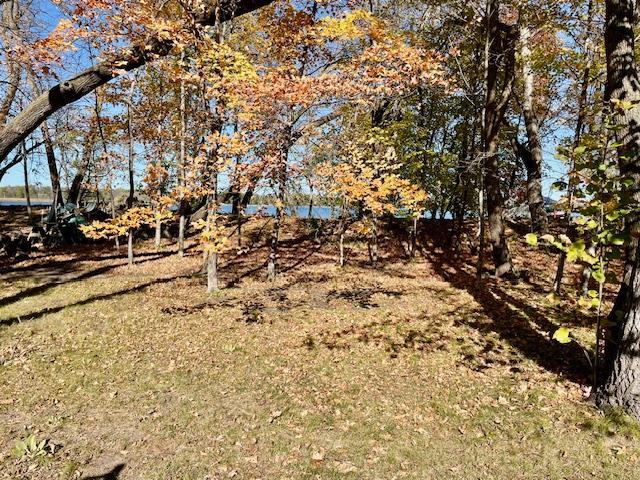 land for sale at 31281 Brightwood Shore Drive in Dent, MN (photo 16 of 21)