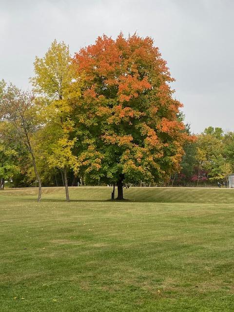land for sale at 31281 Brightwood Shore Drive in Dent, MN (photo 5 of 21)