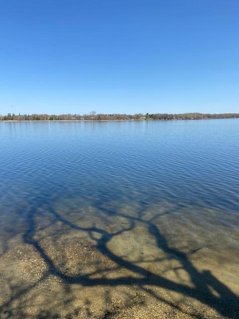 land for sale at 31281 Brightwood Shore Drive in Dent, MN (photo 6 of 21)