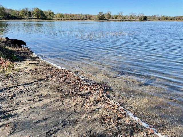 land for sale at 31281 Brightwood Shore Drive in Dent, MN (photo 10 of 21)